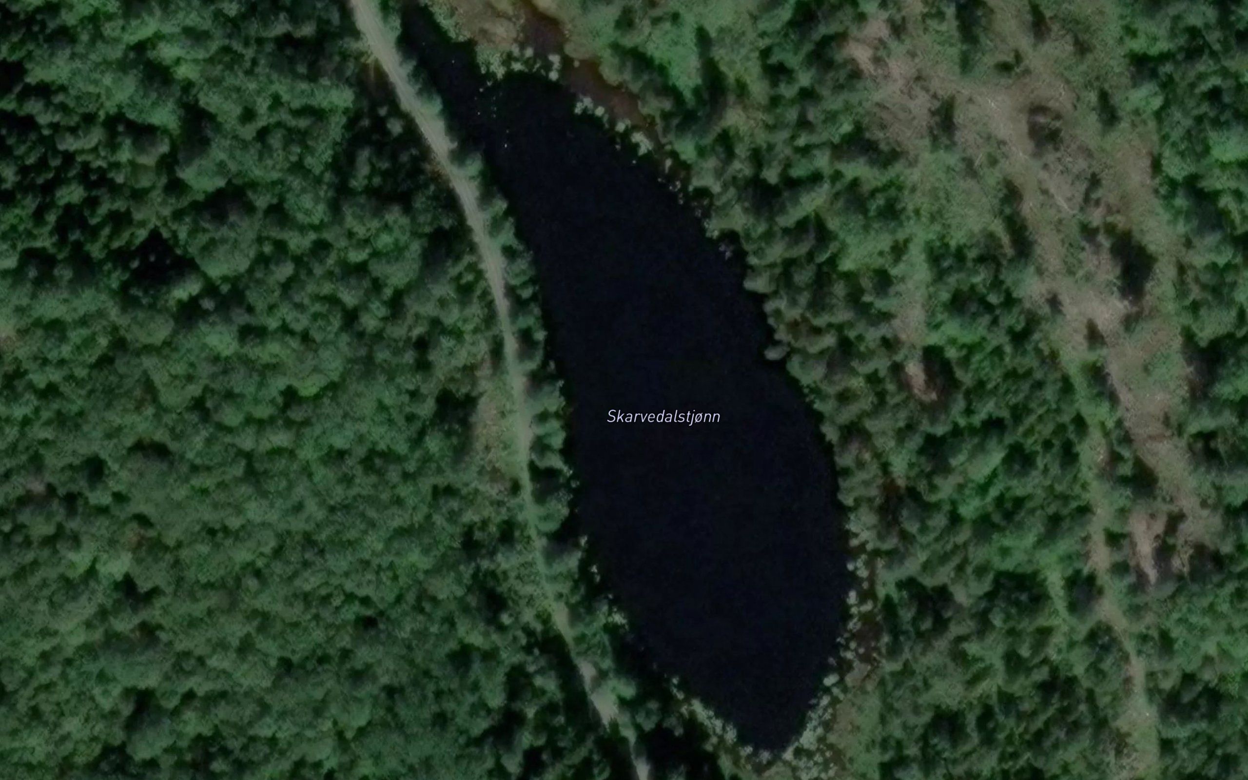 Skarvedalstjonn
