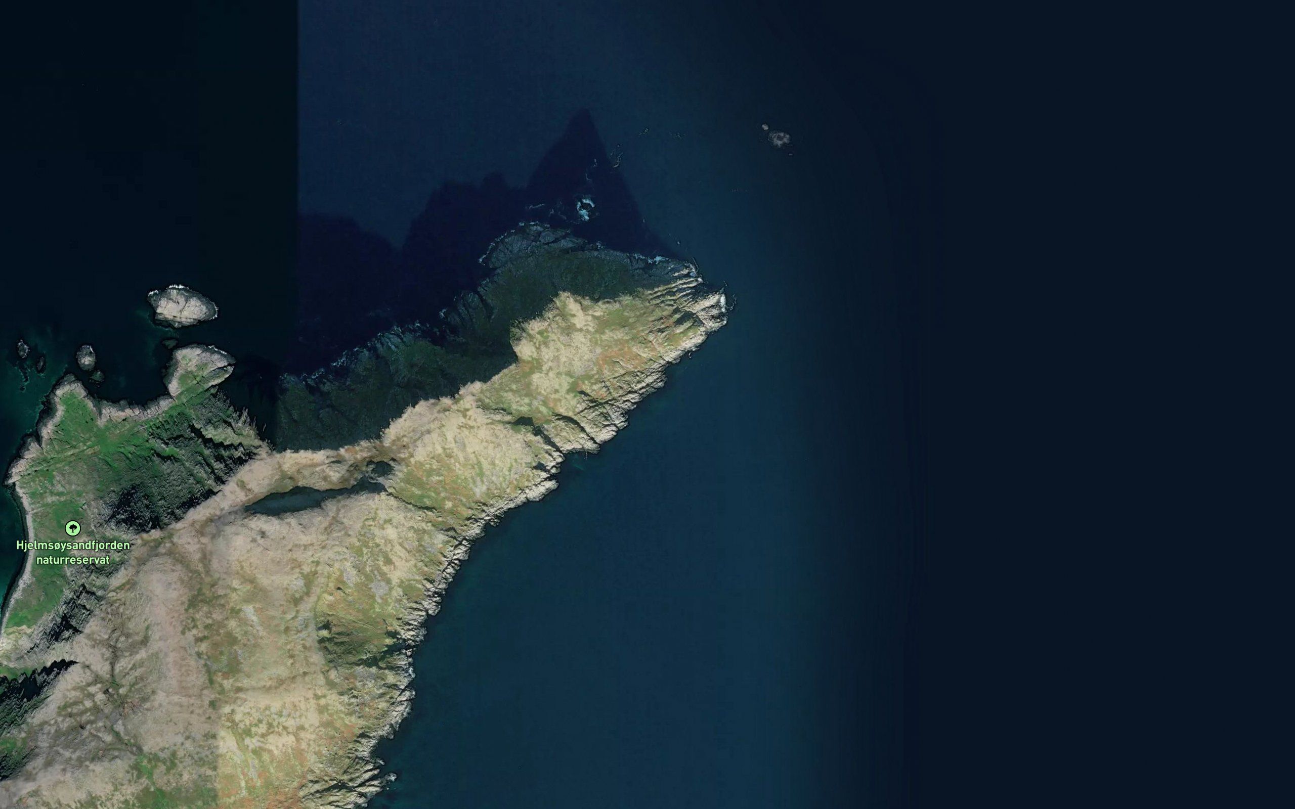 Torvkeila