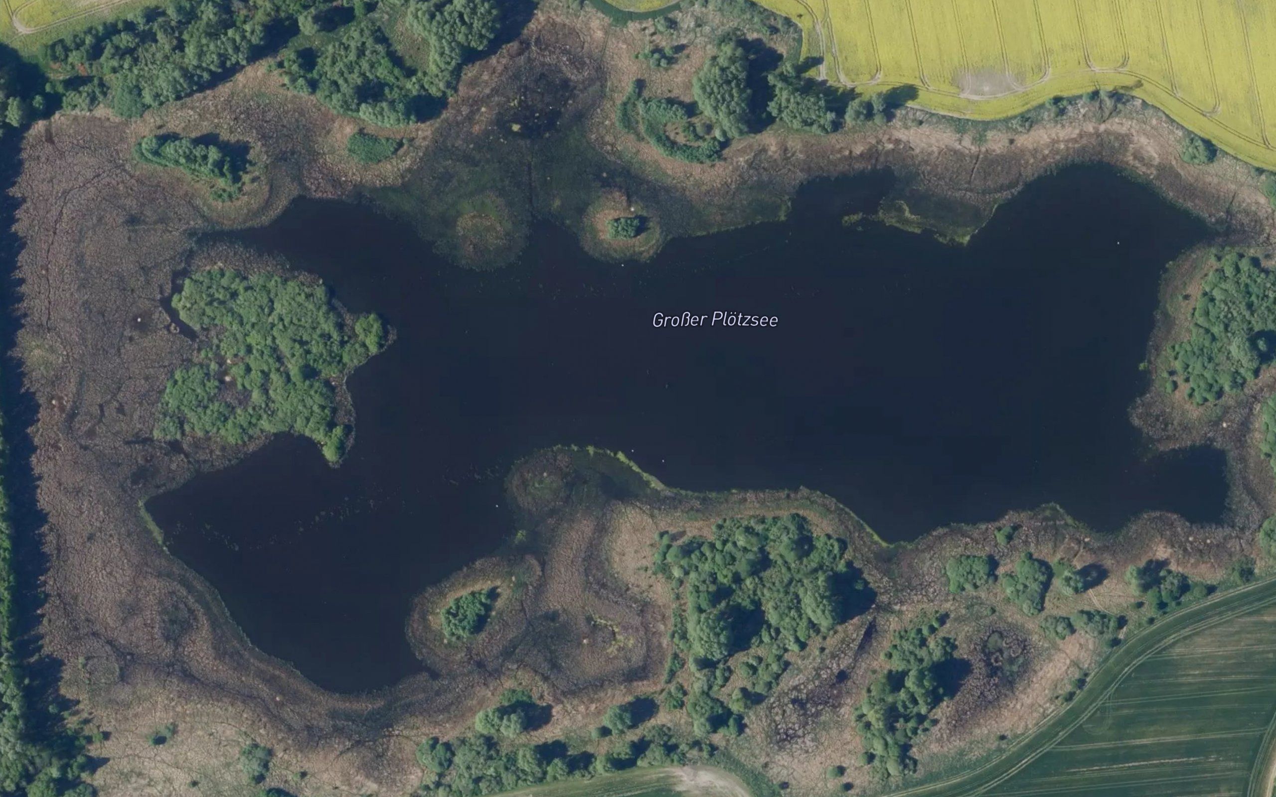 Plotzsee
