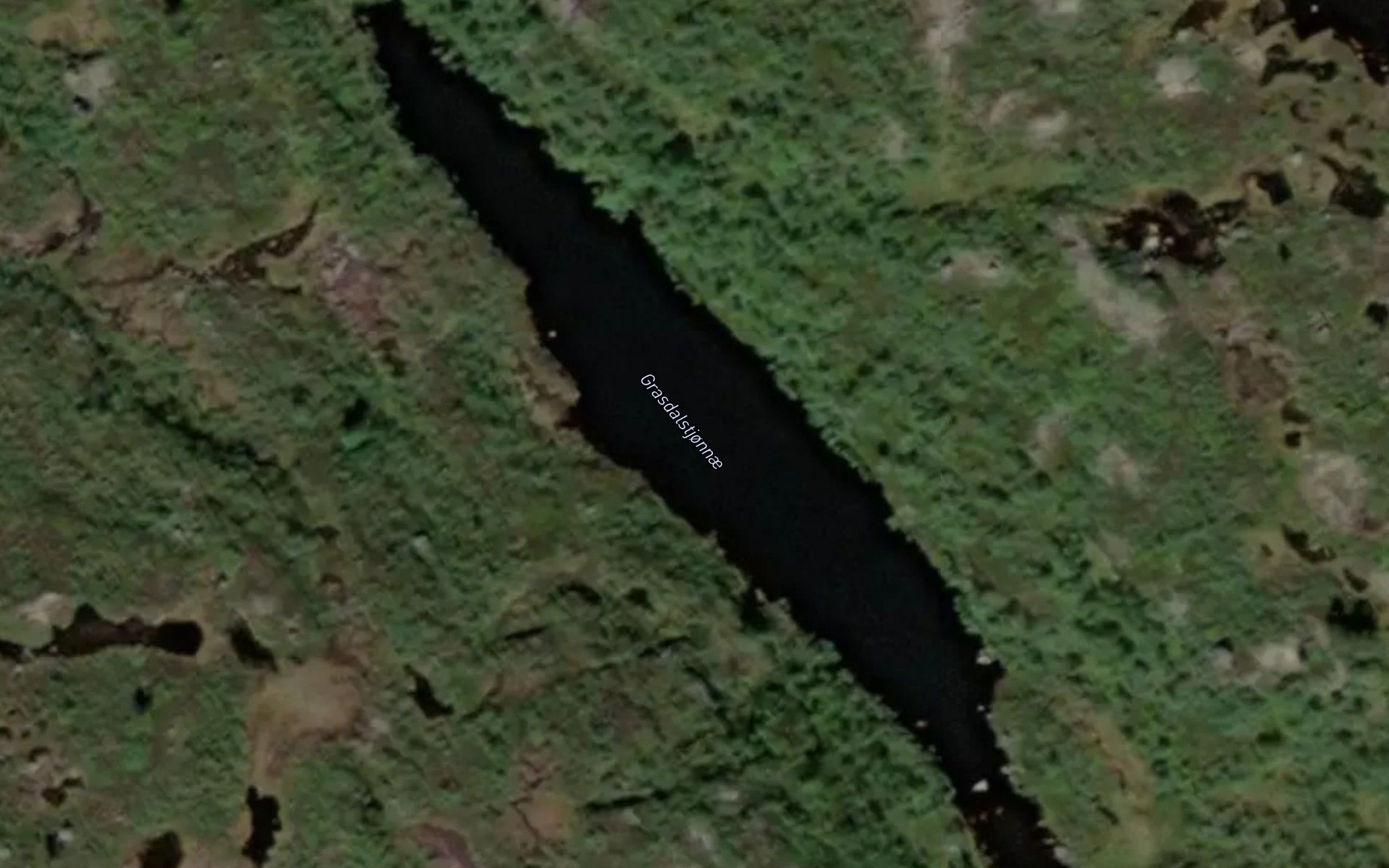 Grasdalstjorni