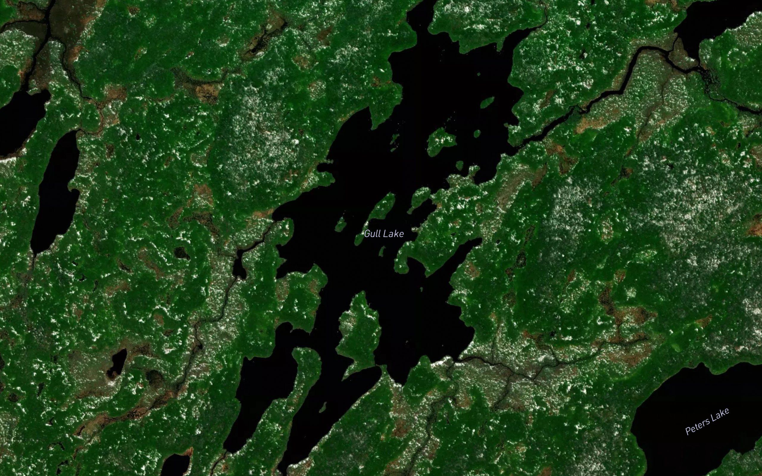 Gull Lake