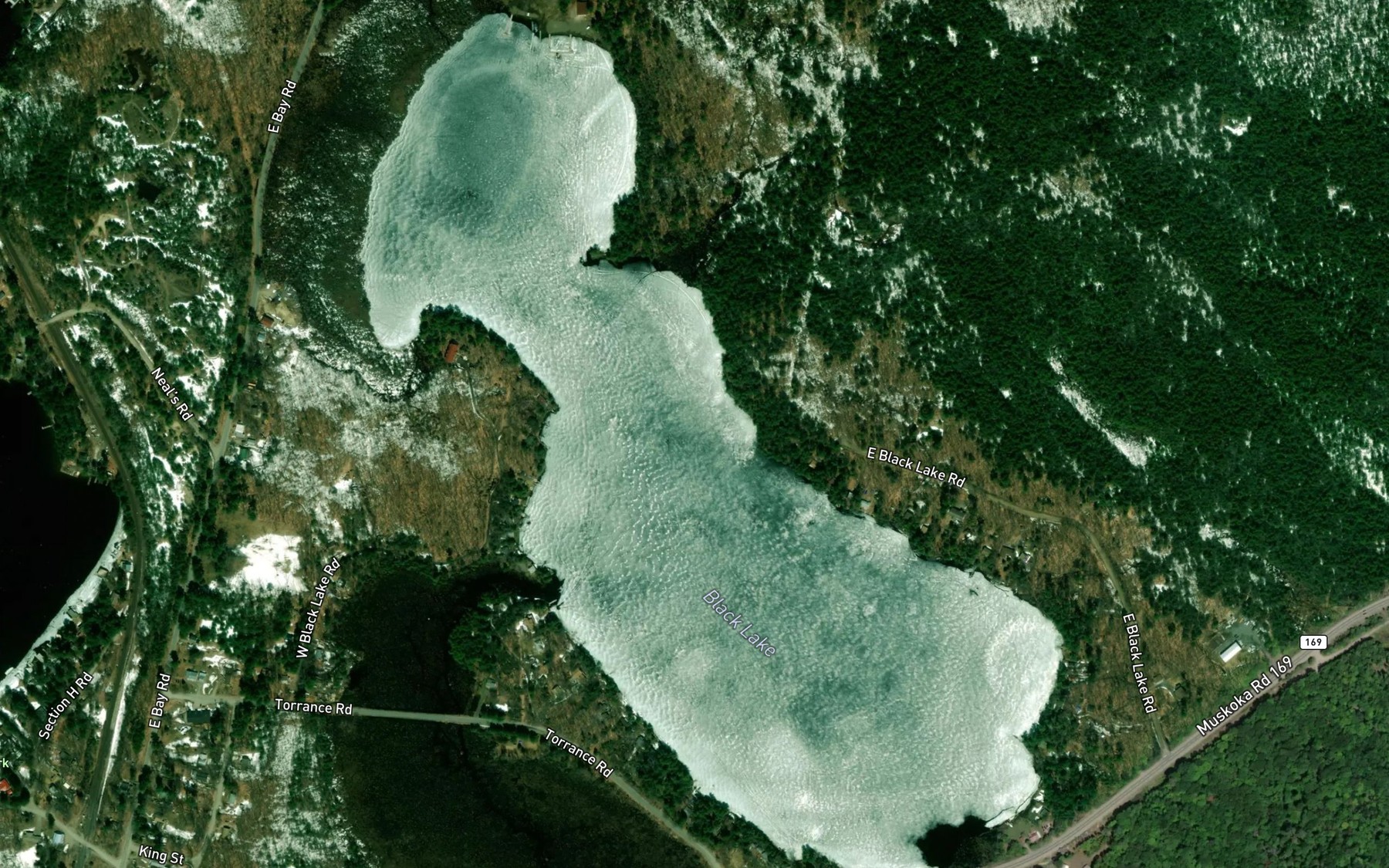 Satellite map of the Black Lake