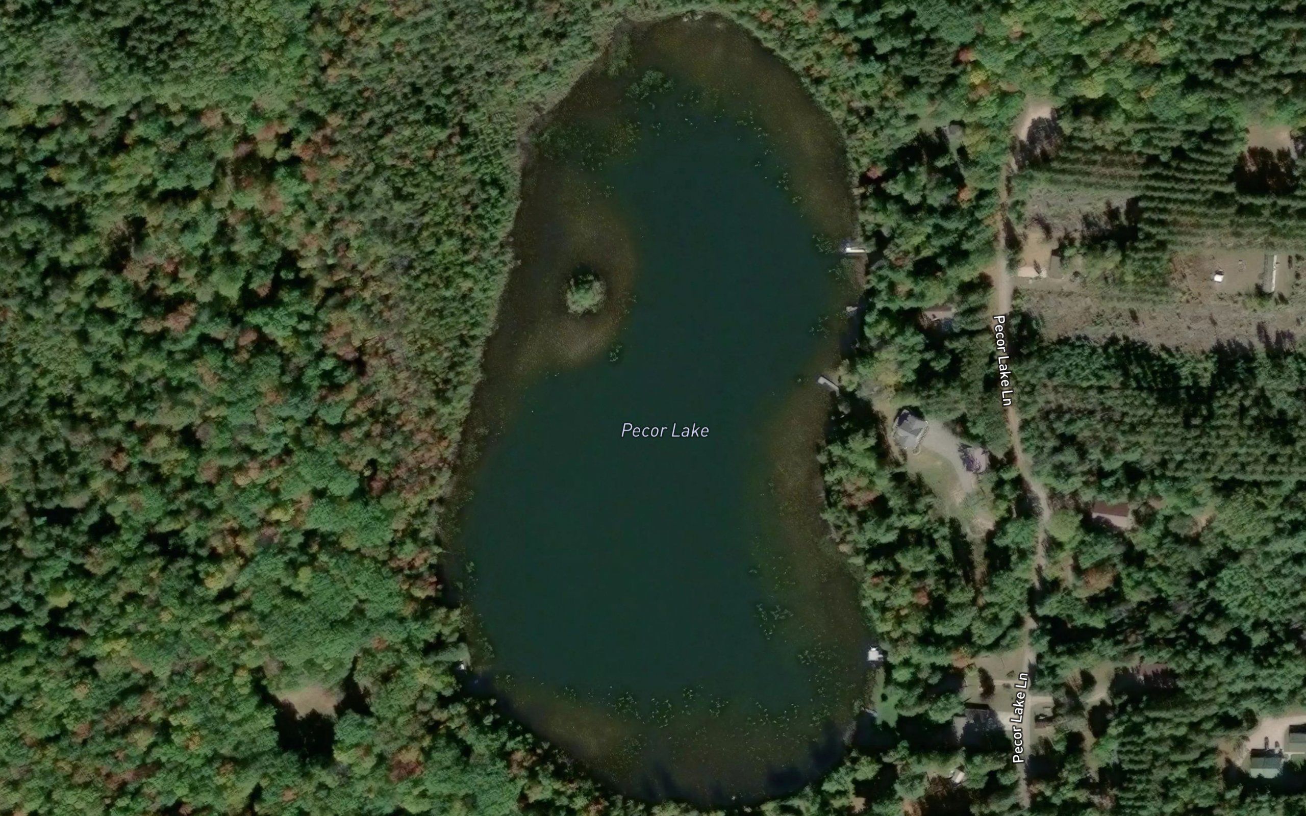 Pecor Lake