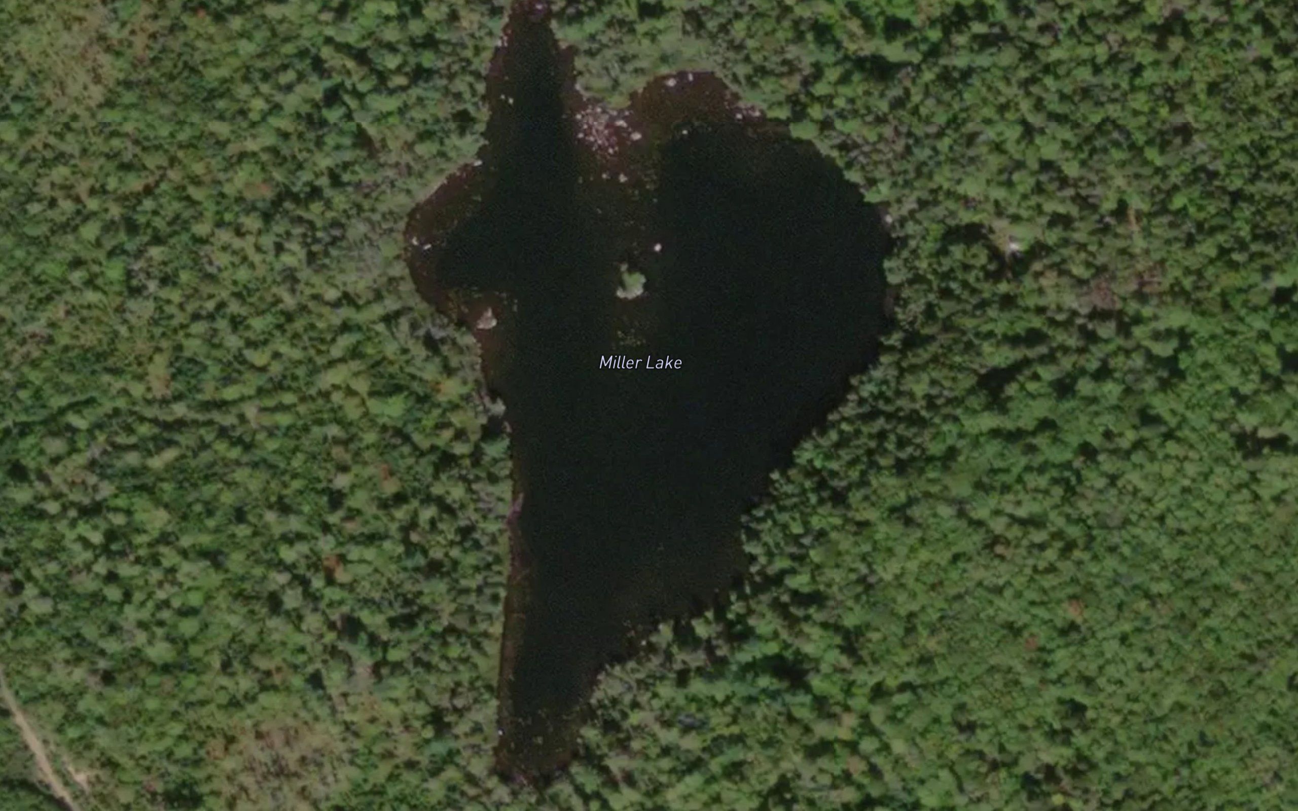 Miller Lake