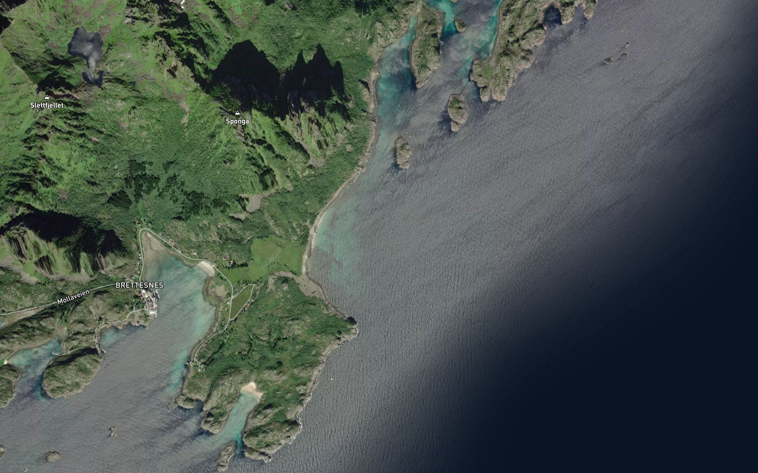 Flovika