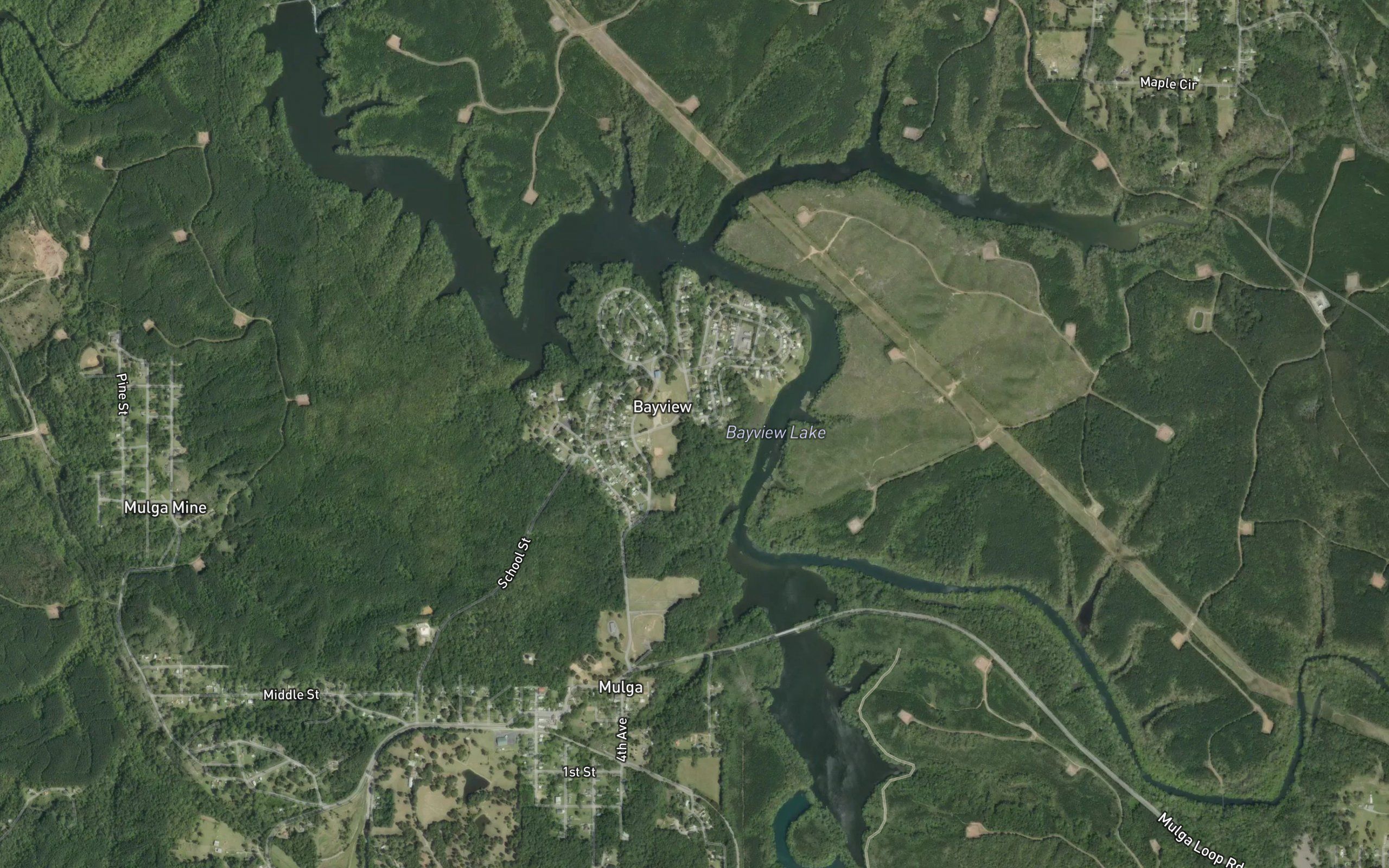 Camp Branch