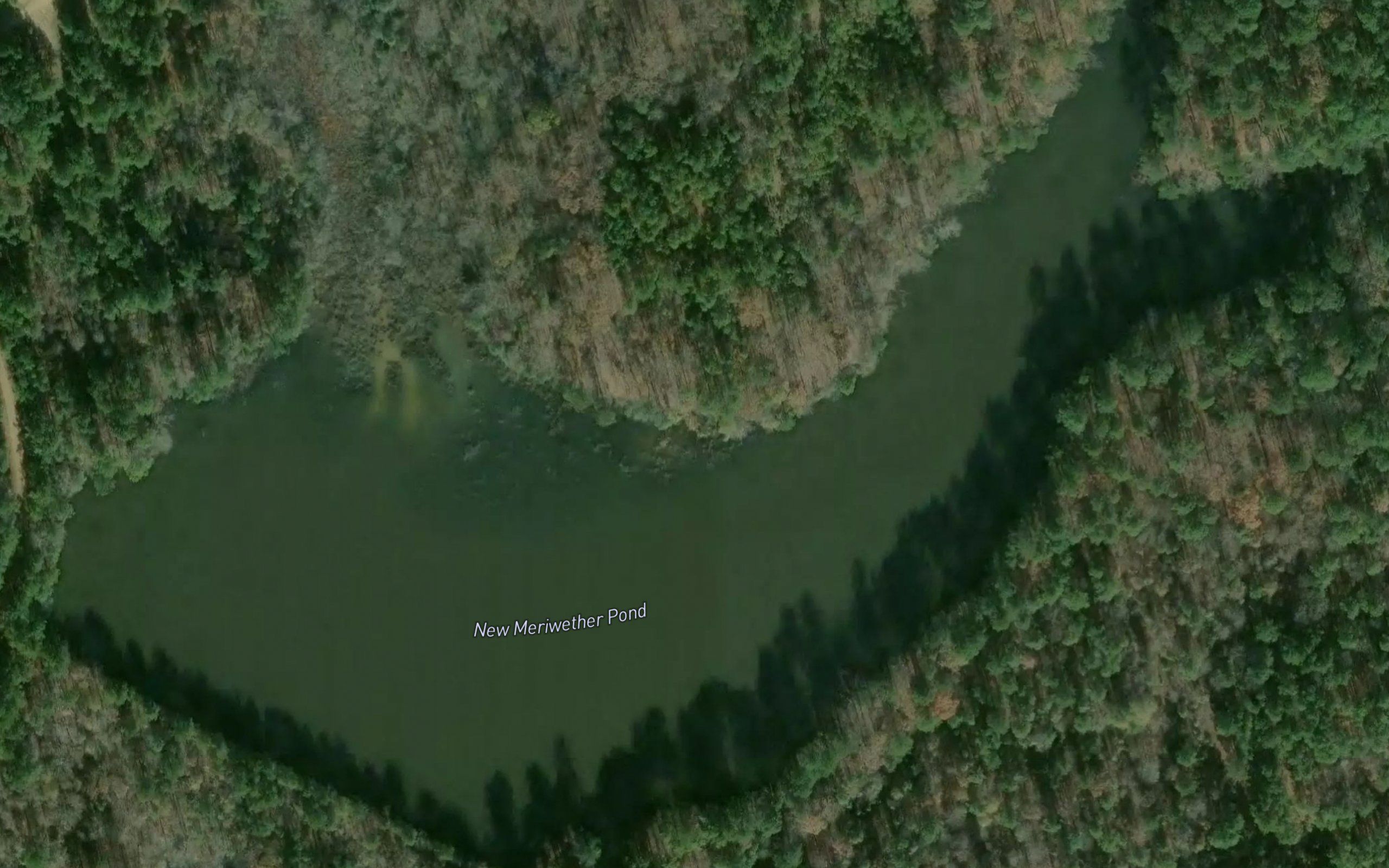 New Meriwether Pond