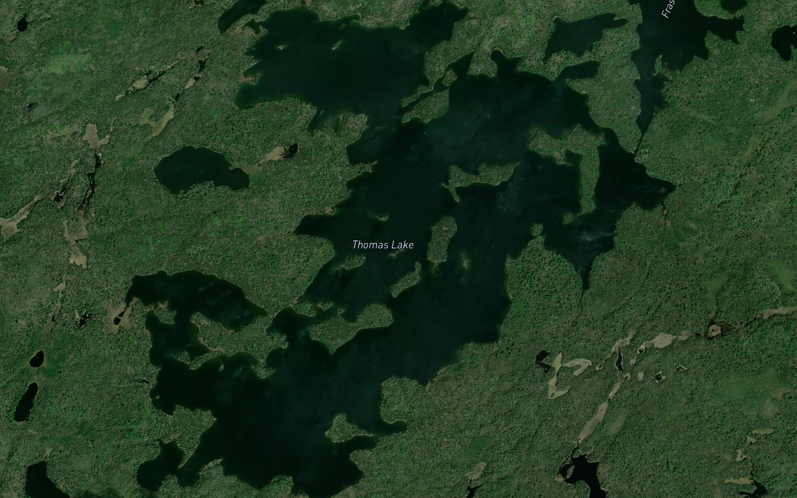 Thomas Lake