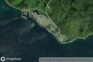 Kattevika