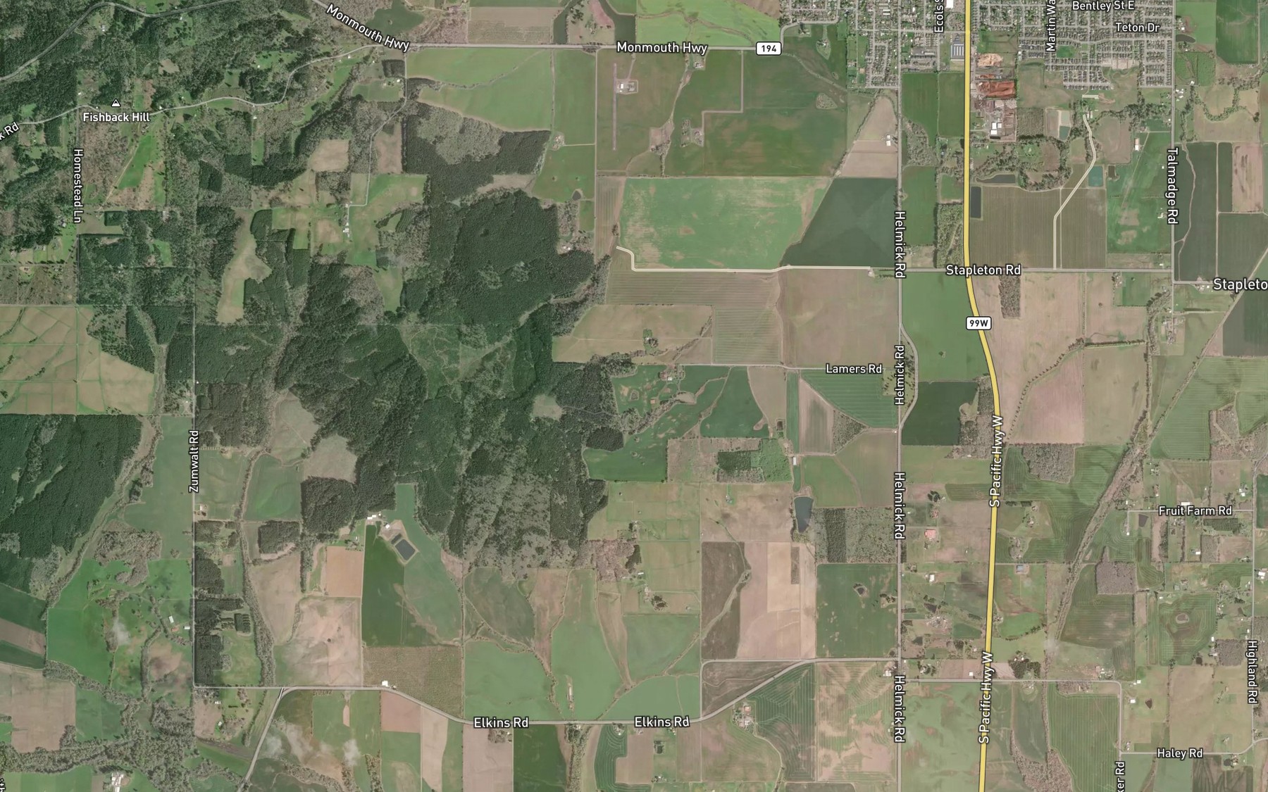 Satellite map of the Lamer Pond