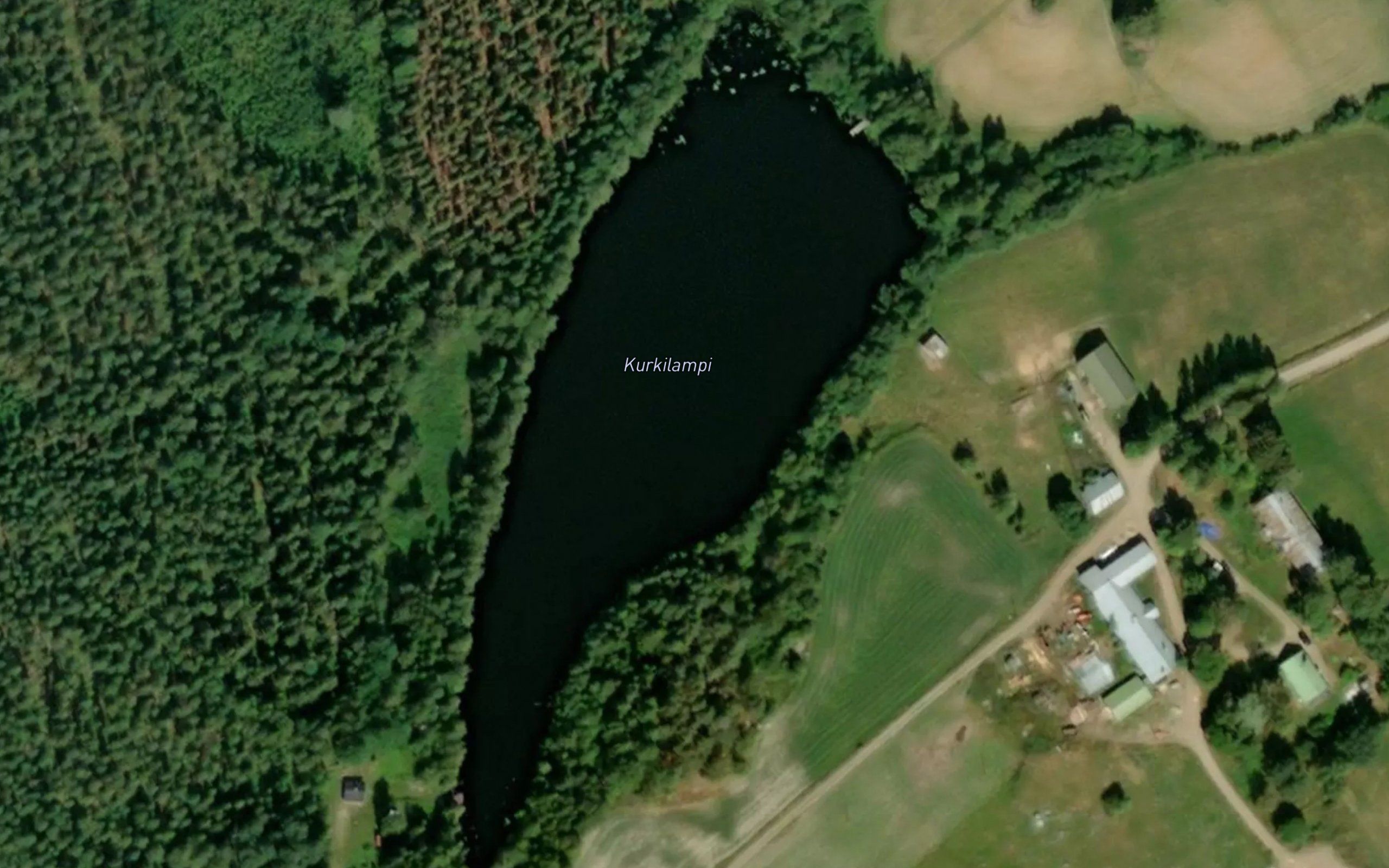 Kurkilampi