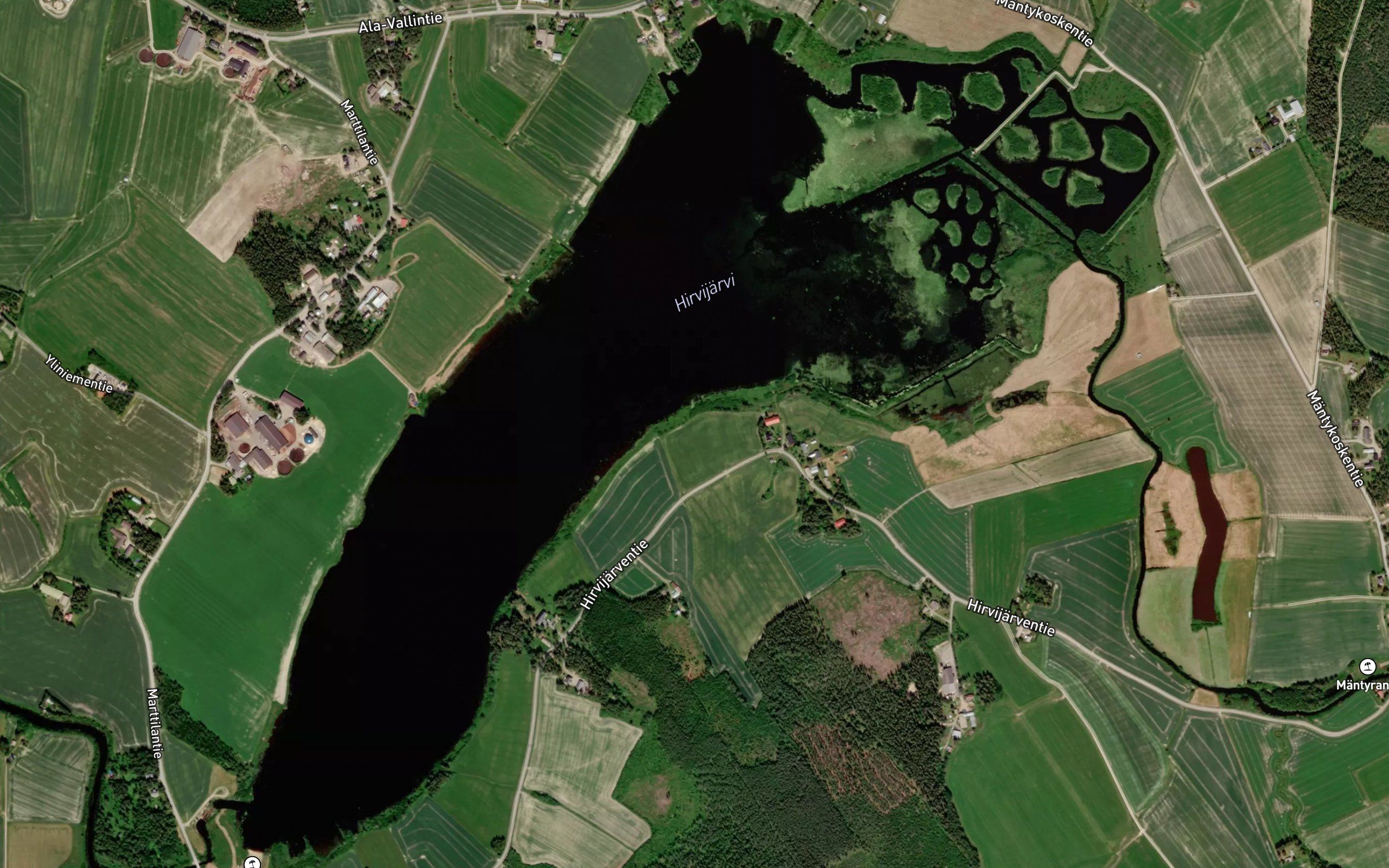 Hirvijoki