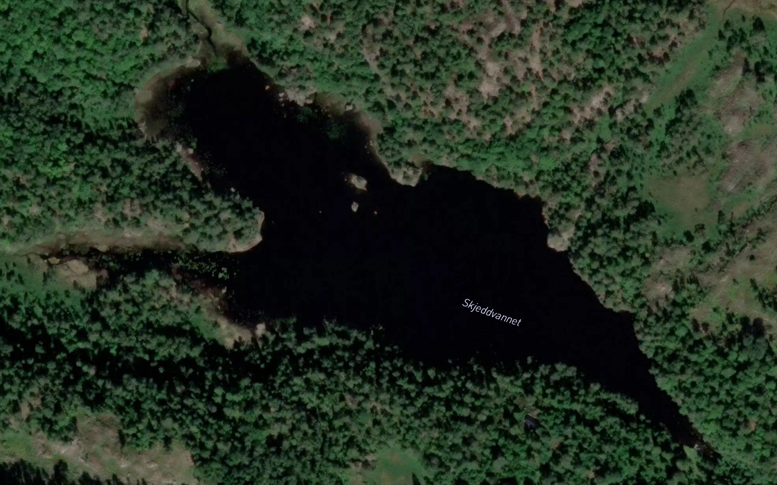 Skeivatnet