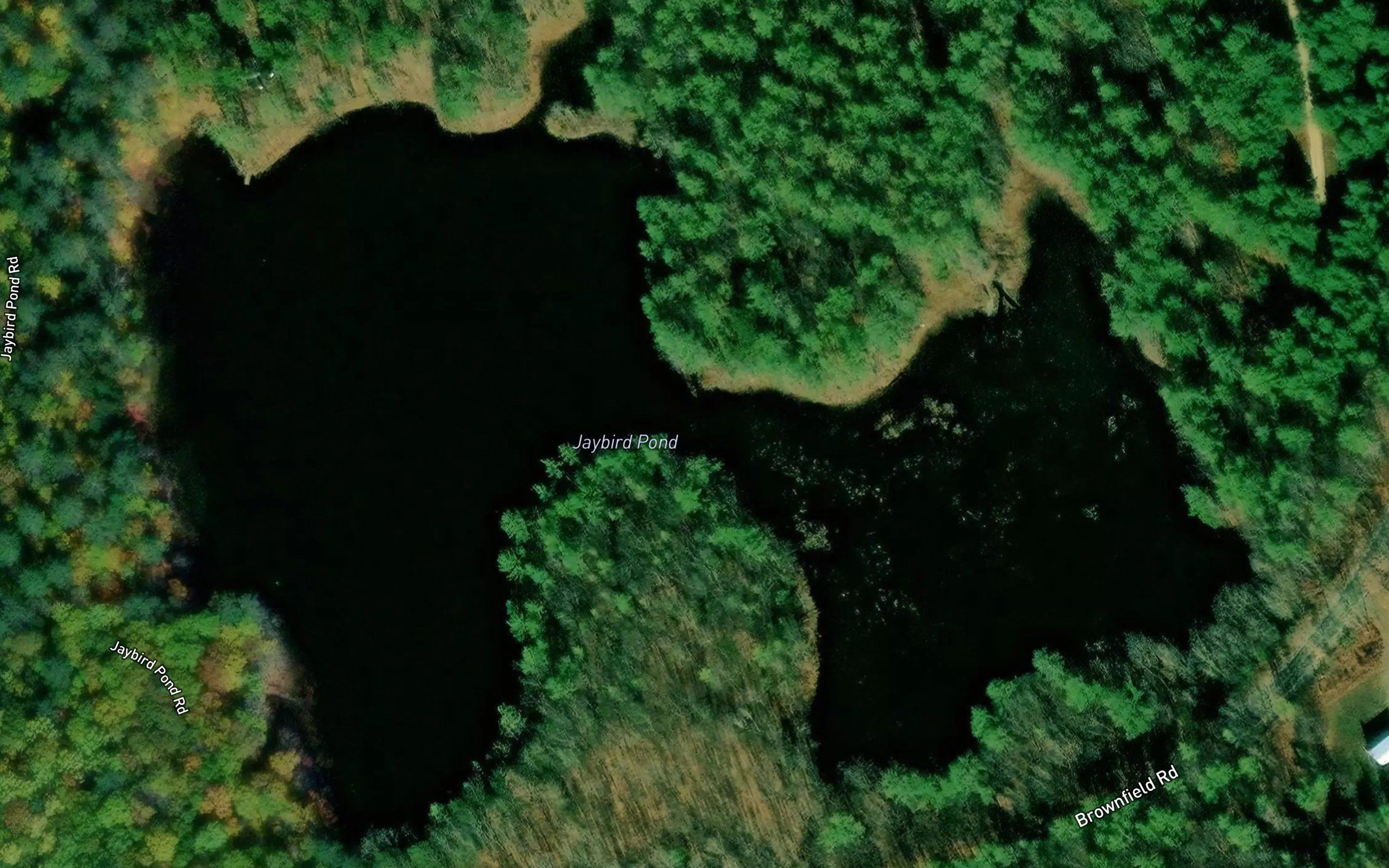 Jaybird Pond