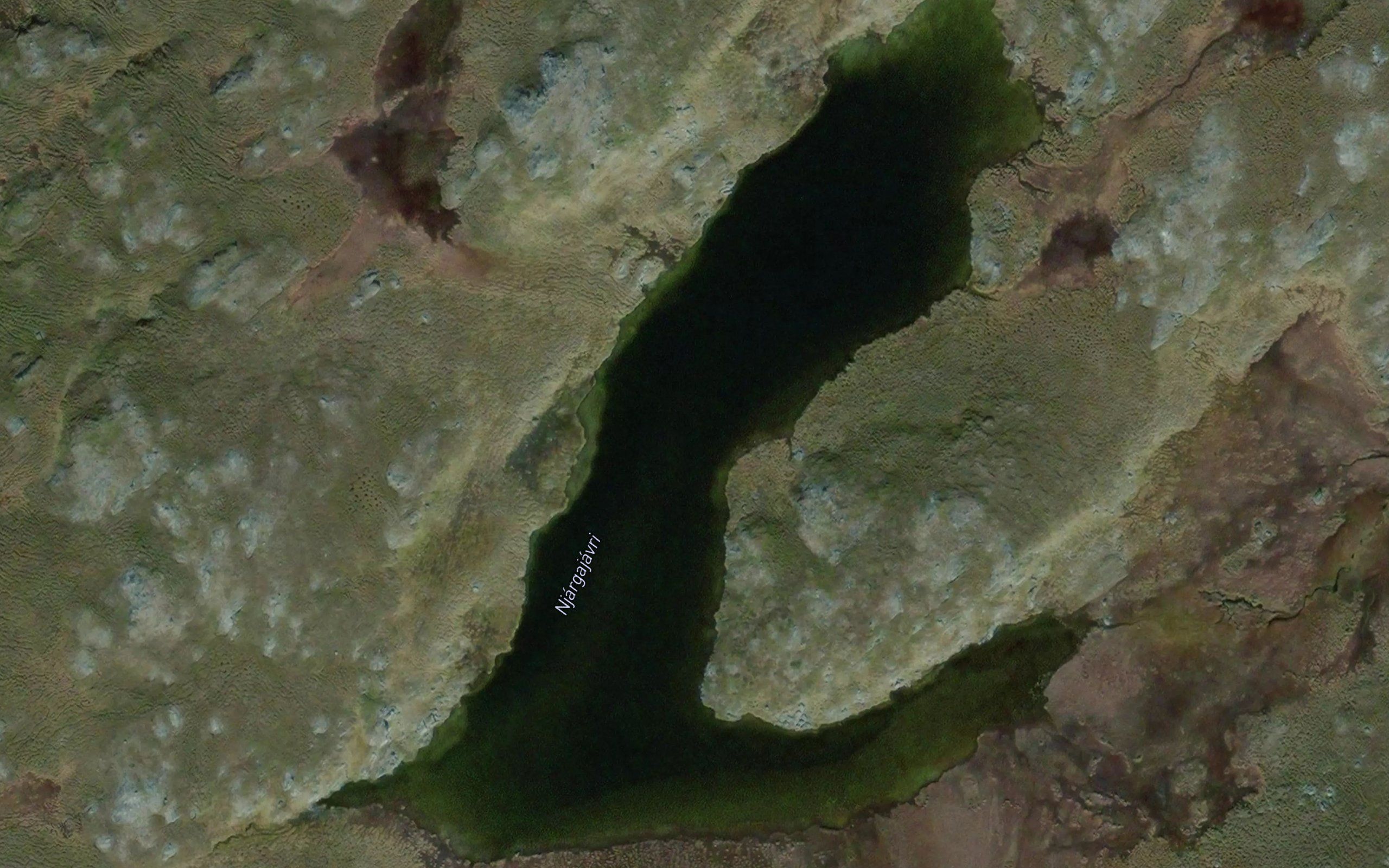 Njargajavri