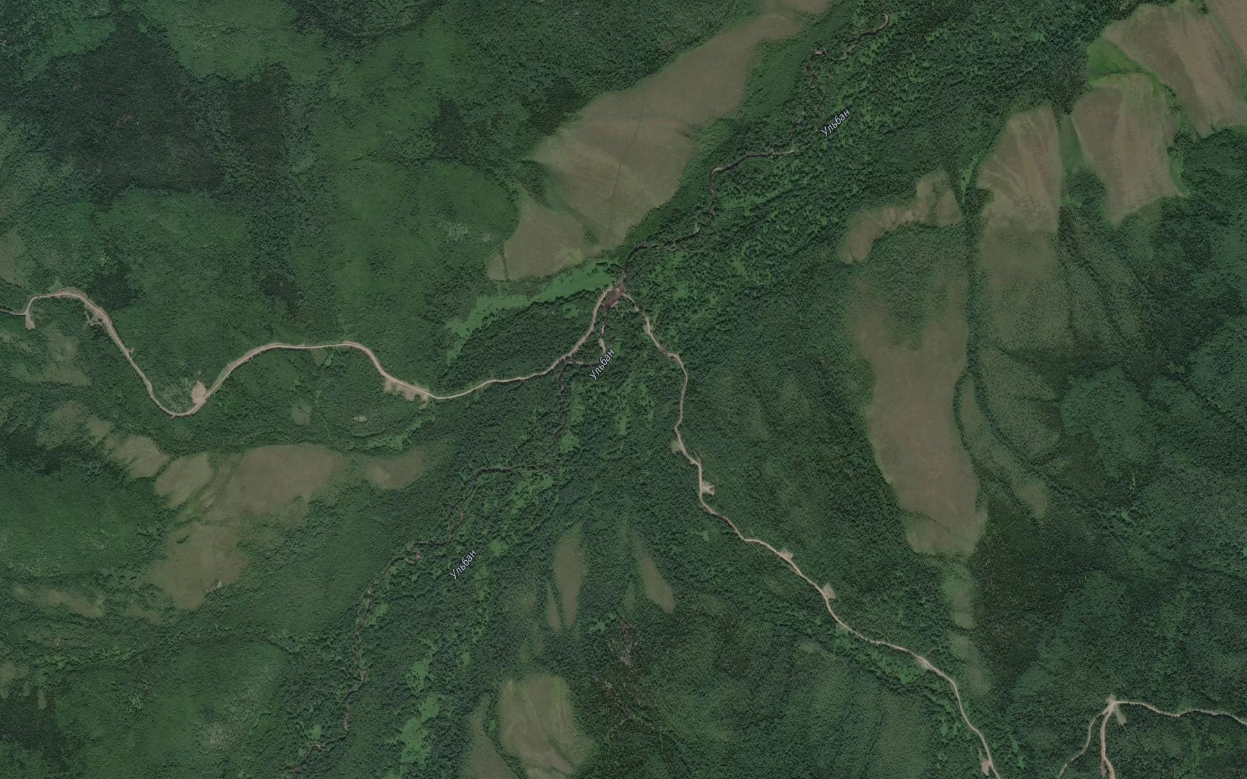 Satellite map of the Druzhnyy