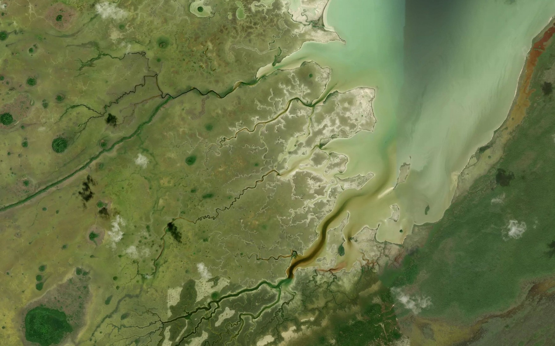 Satellite map of the El Zapote