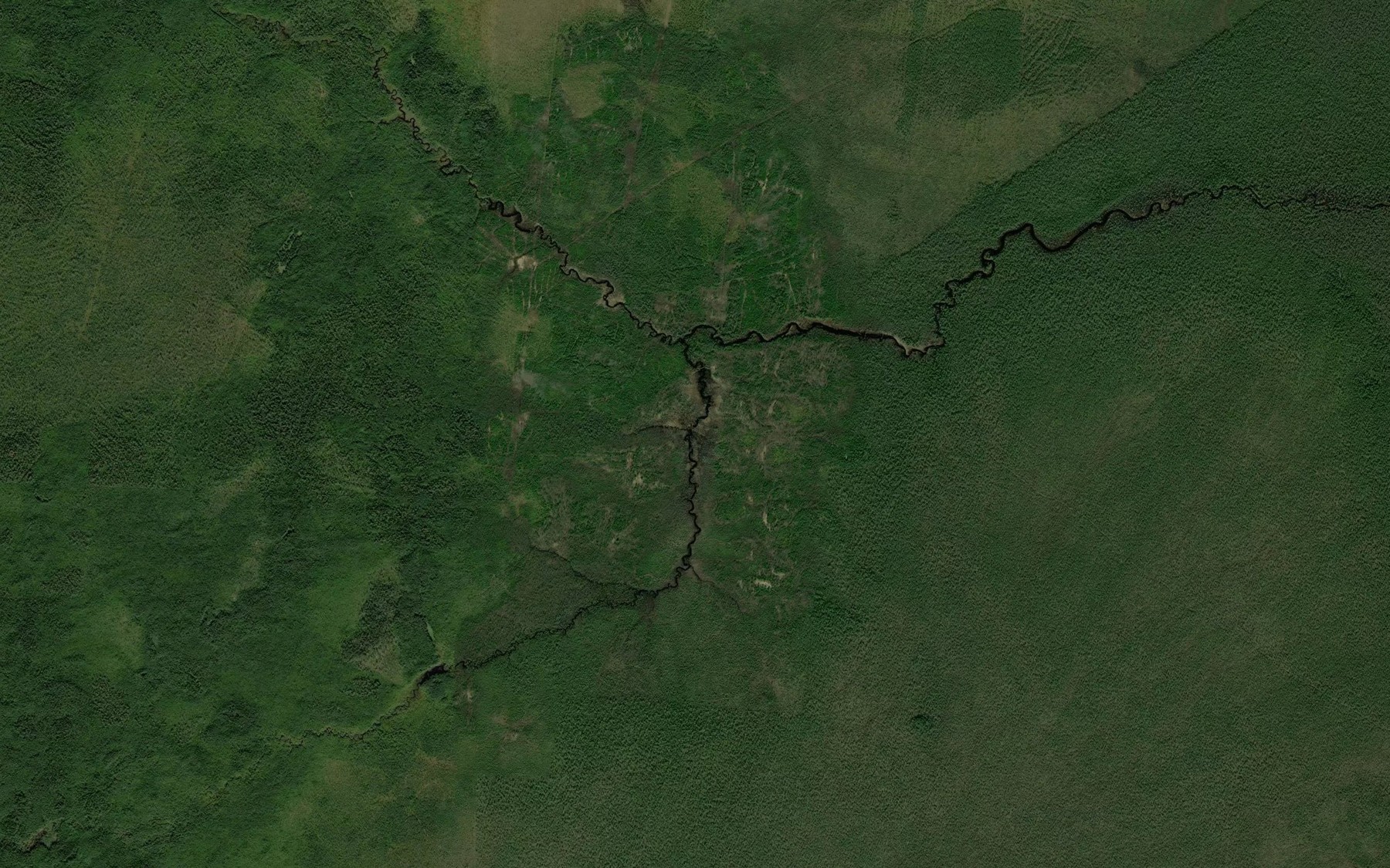 Satellite map of the Chernaya