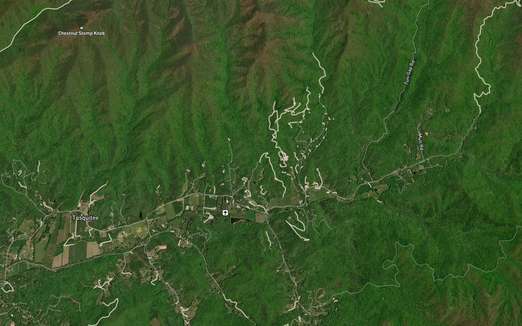 Satellite map of the Julie Branch