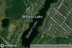 Walker Lake