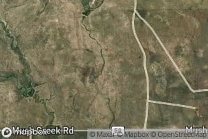 Cummings F S 9-328-2 Reservoir