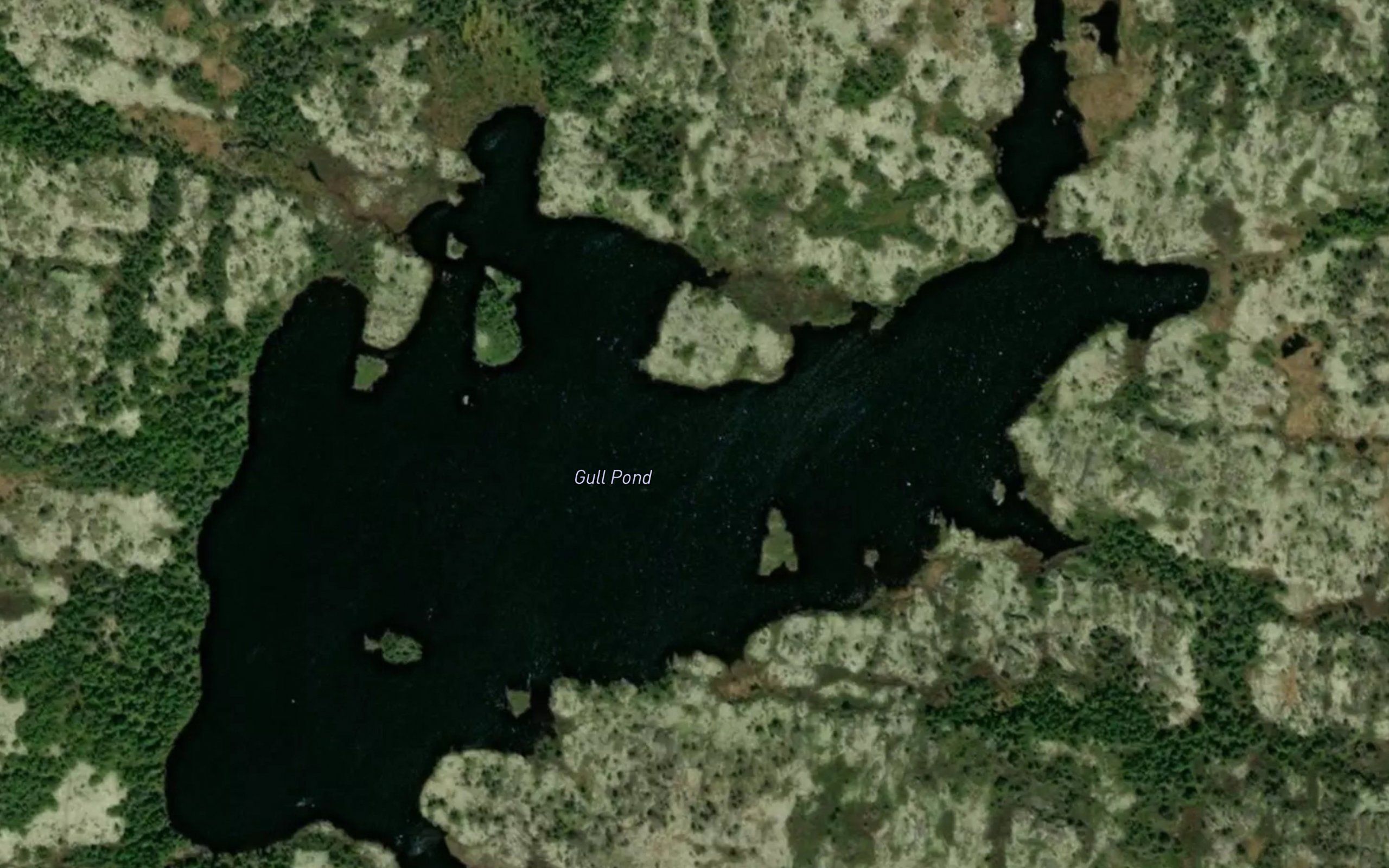 Gull Pond