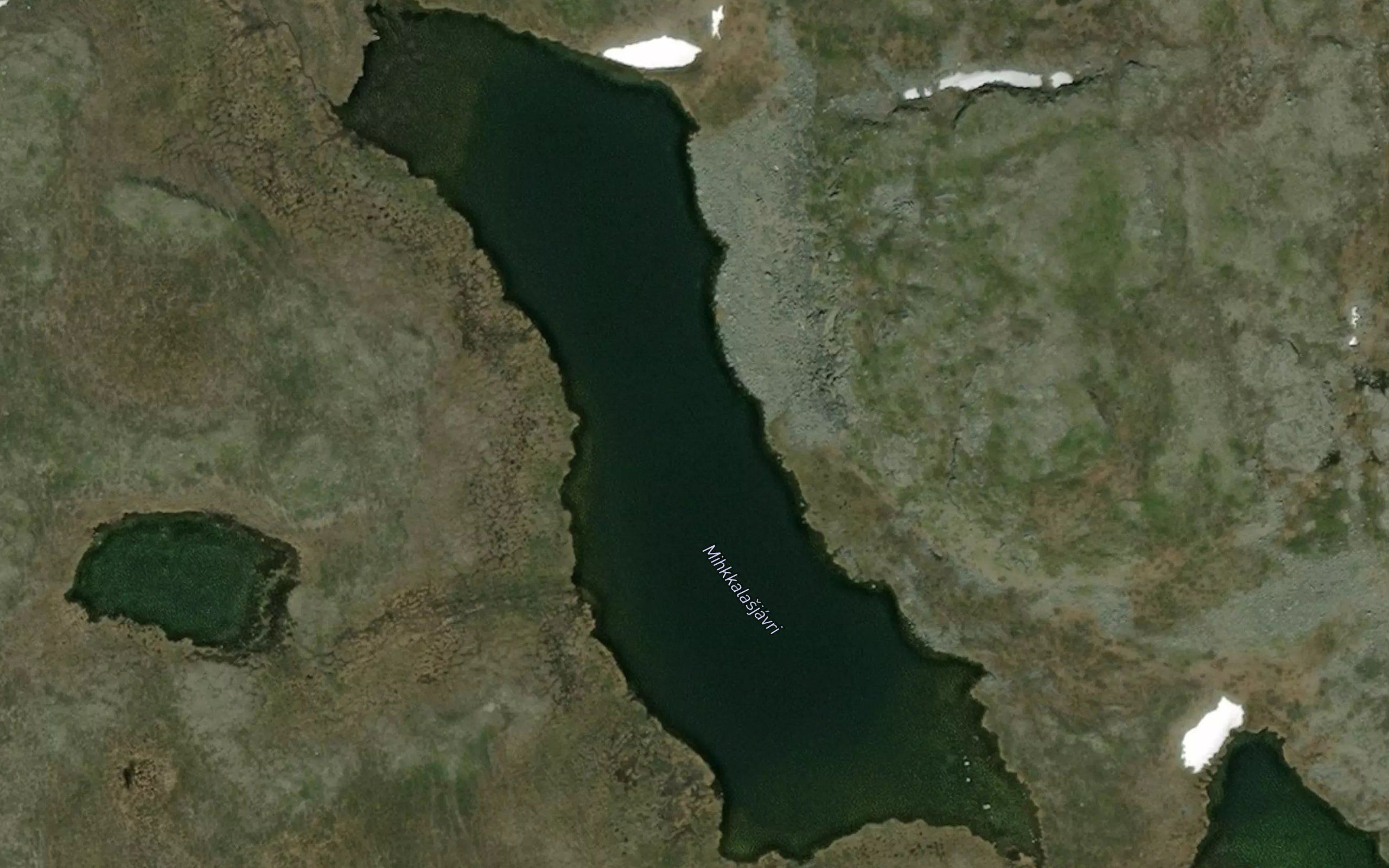 Mikkalasjavri