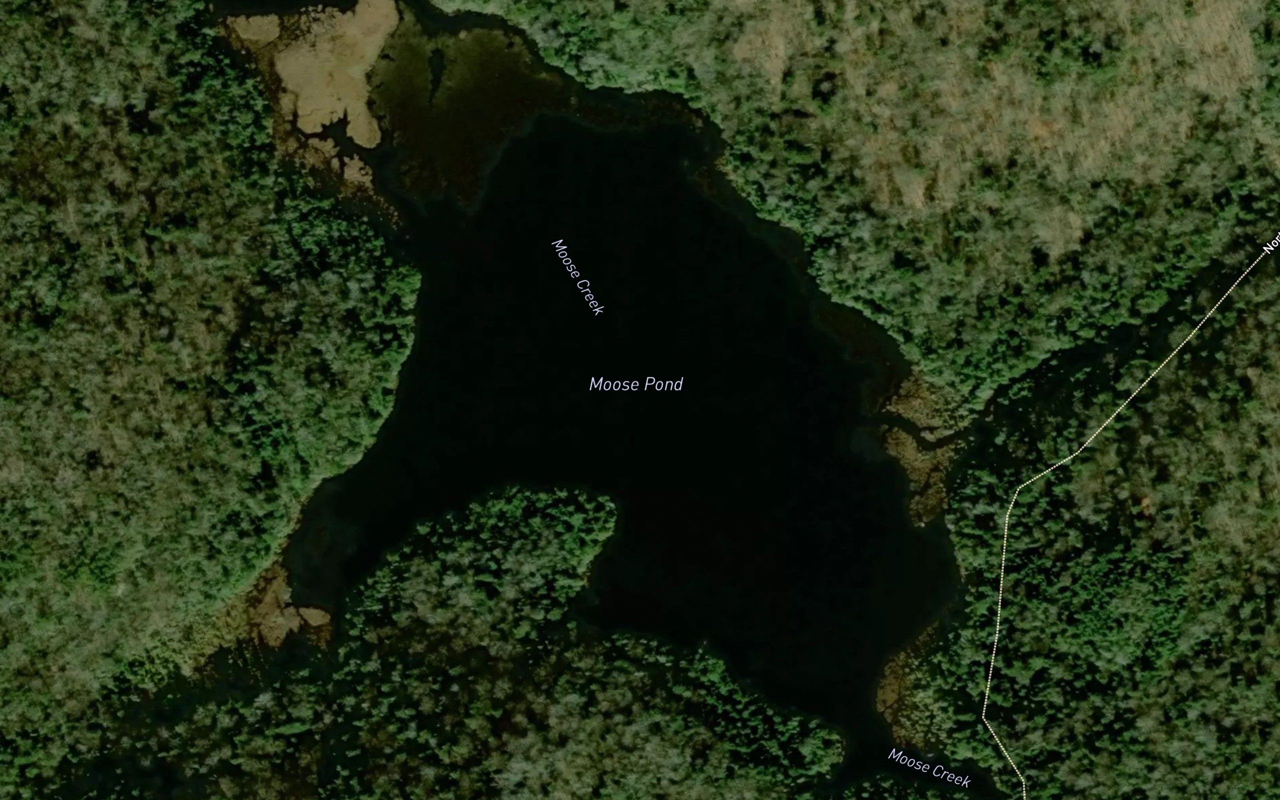 Moose Pond