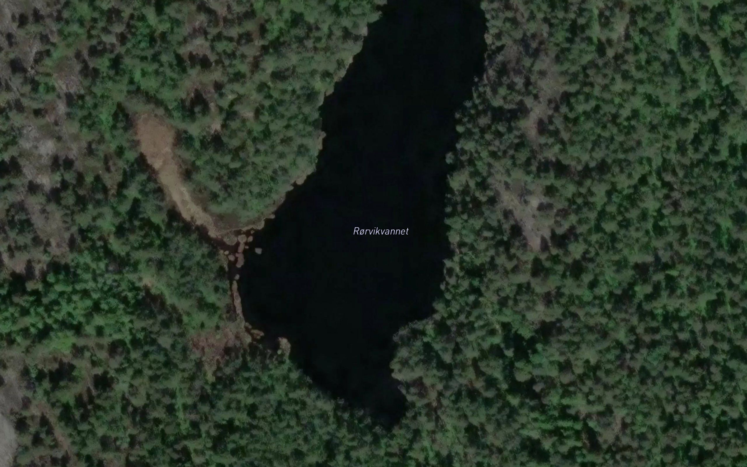 Rorvikvannet