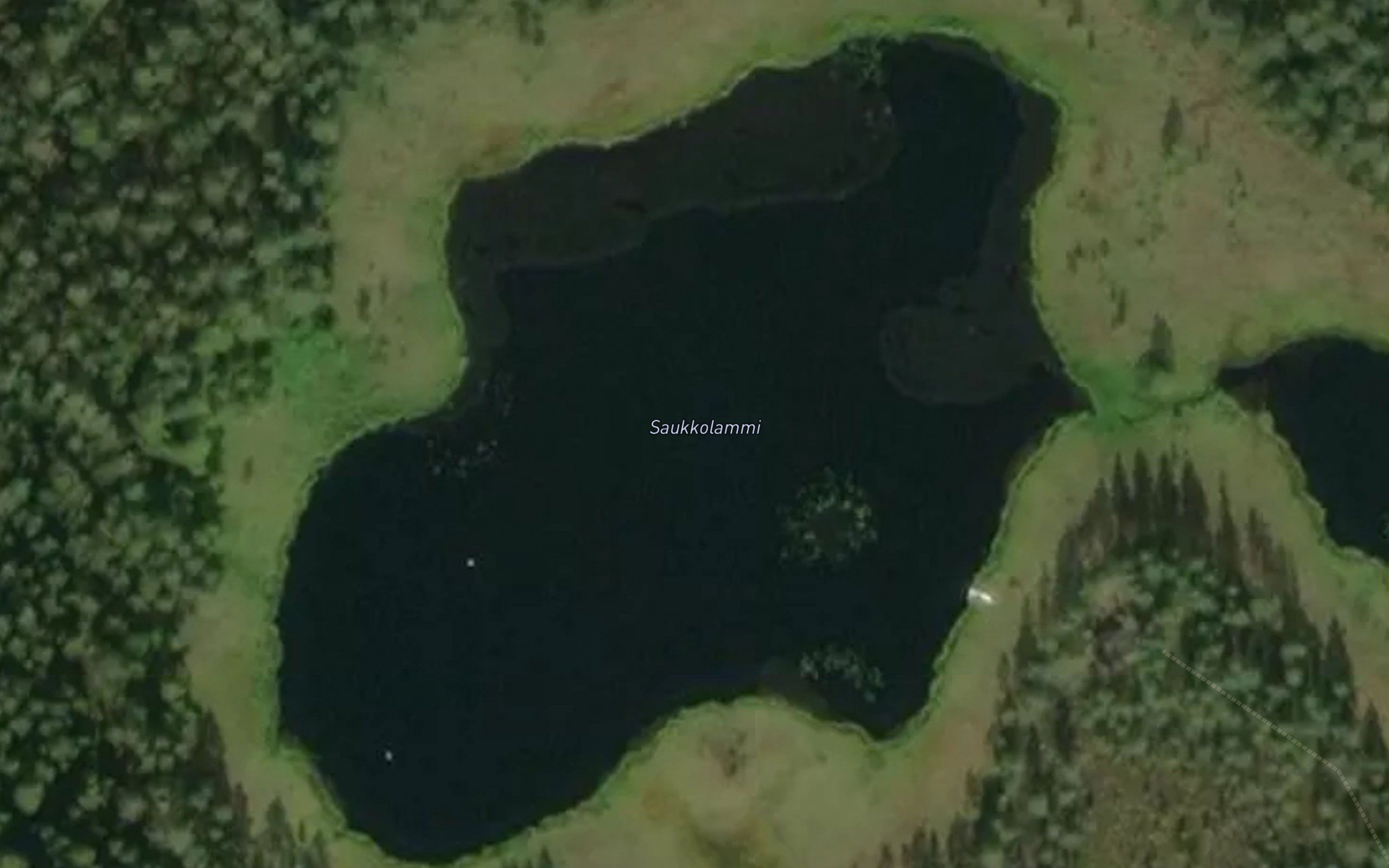 Saukkolammi