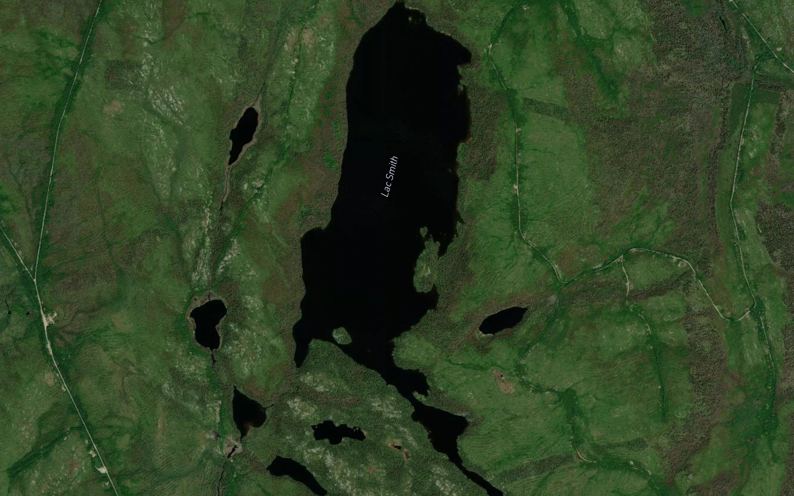 Lac Smith