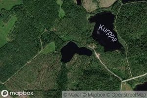 Kauralampi