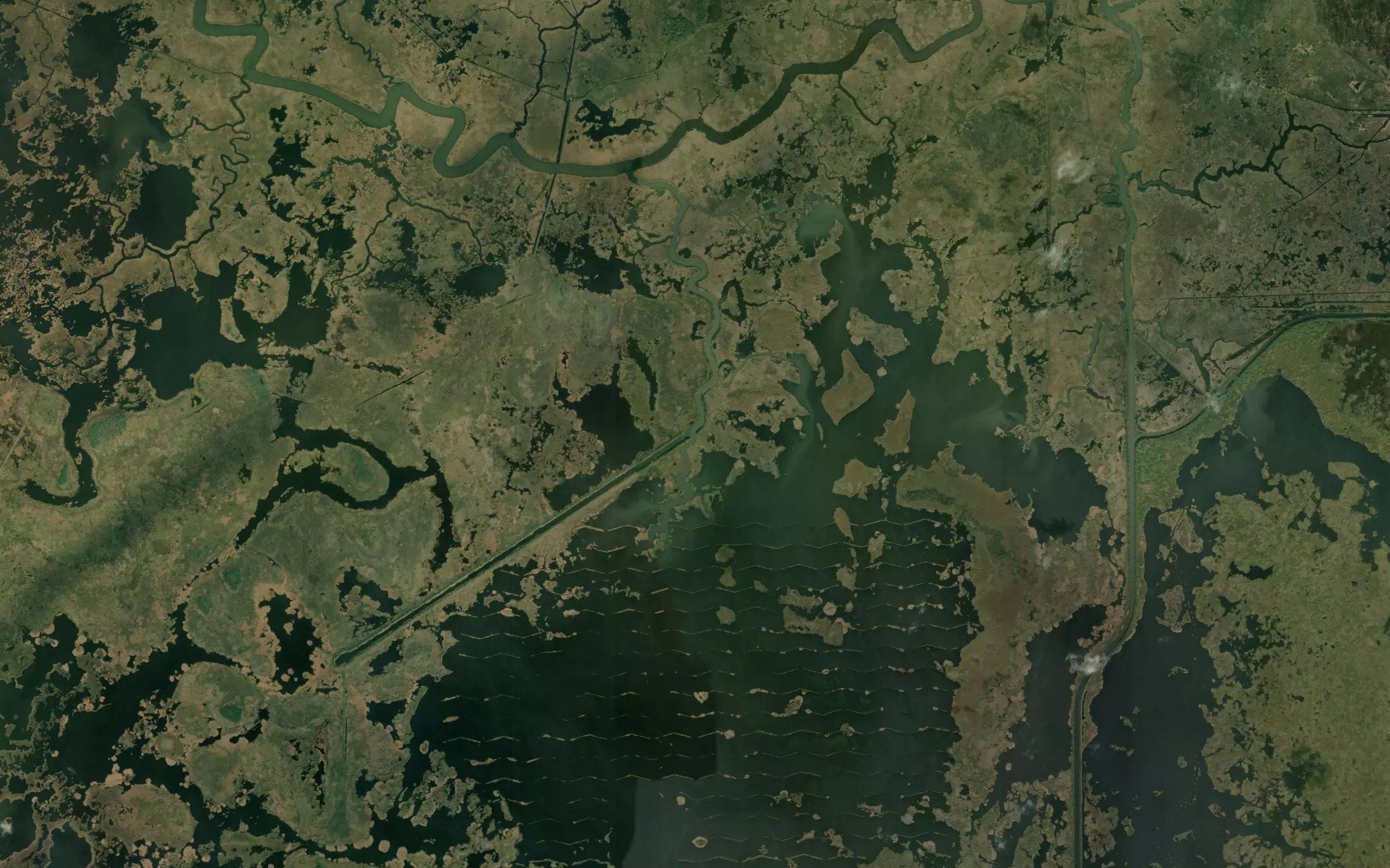 Greens Bayou