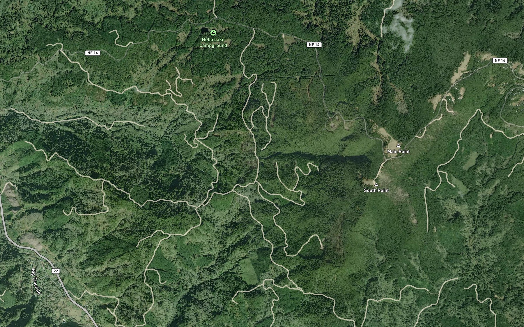 Satellite map of the Cedar Lake