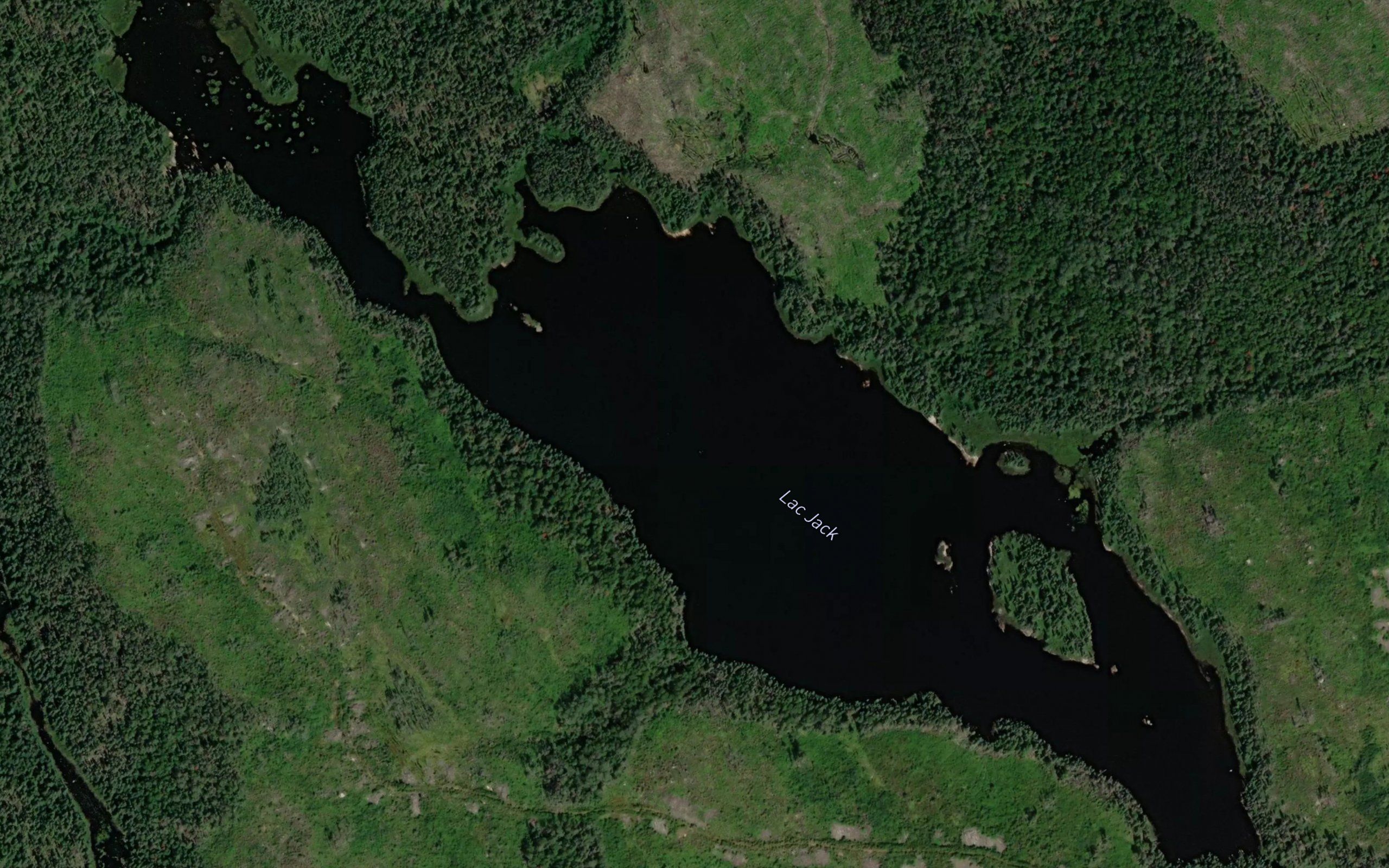 Lac Jack