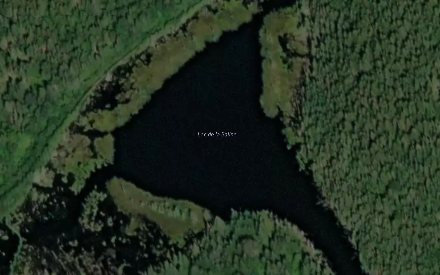 Satellite map of the Lac de la Saline