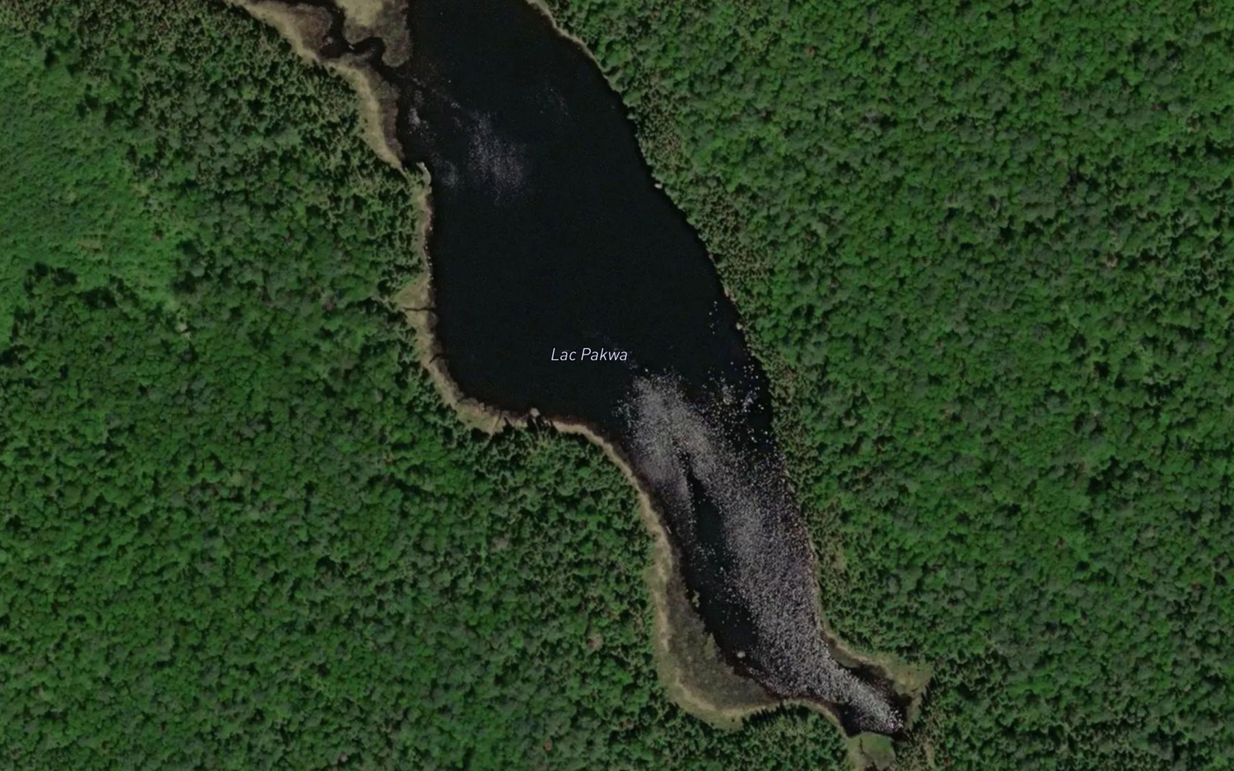 Satellite map of the Lac Pakwa
