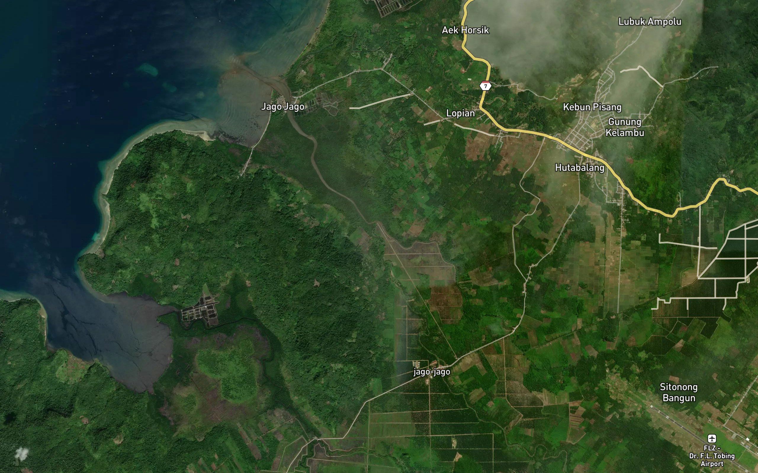 Batang Lumut