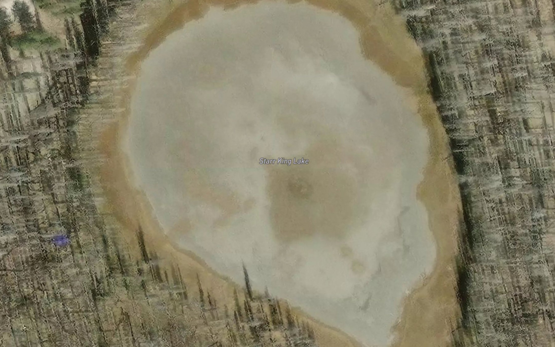 Satellite map of the Starr King Lake