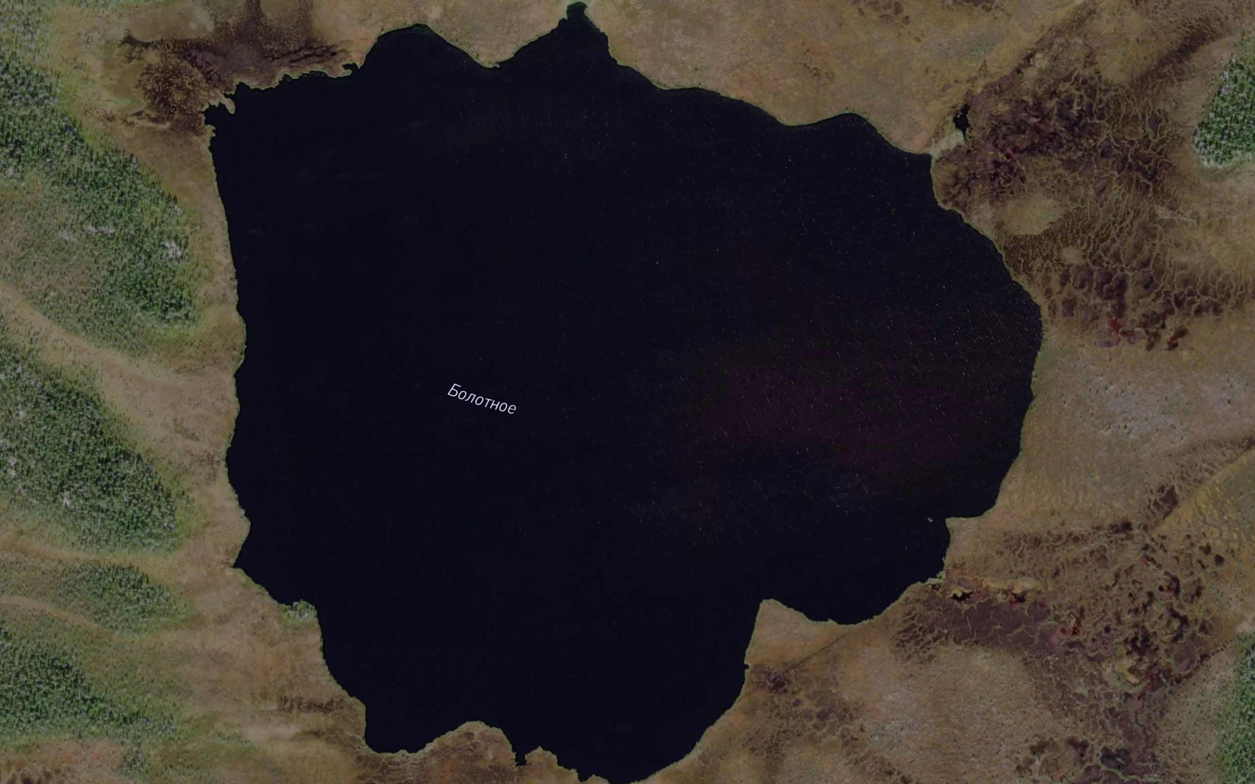 Ozero Bolotnoye