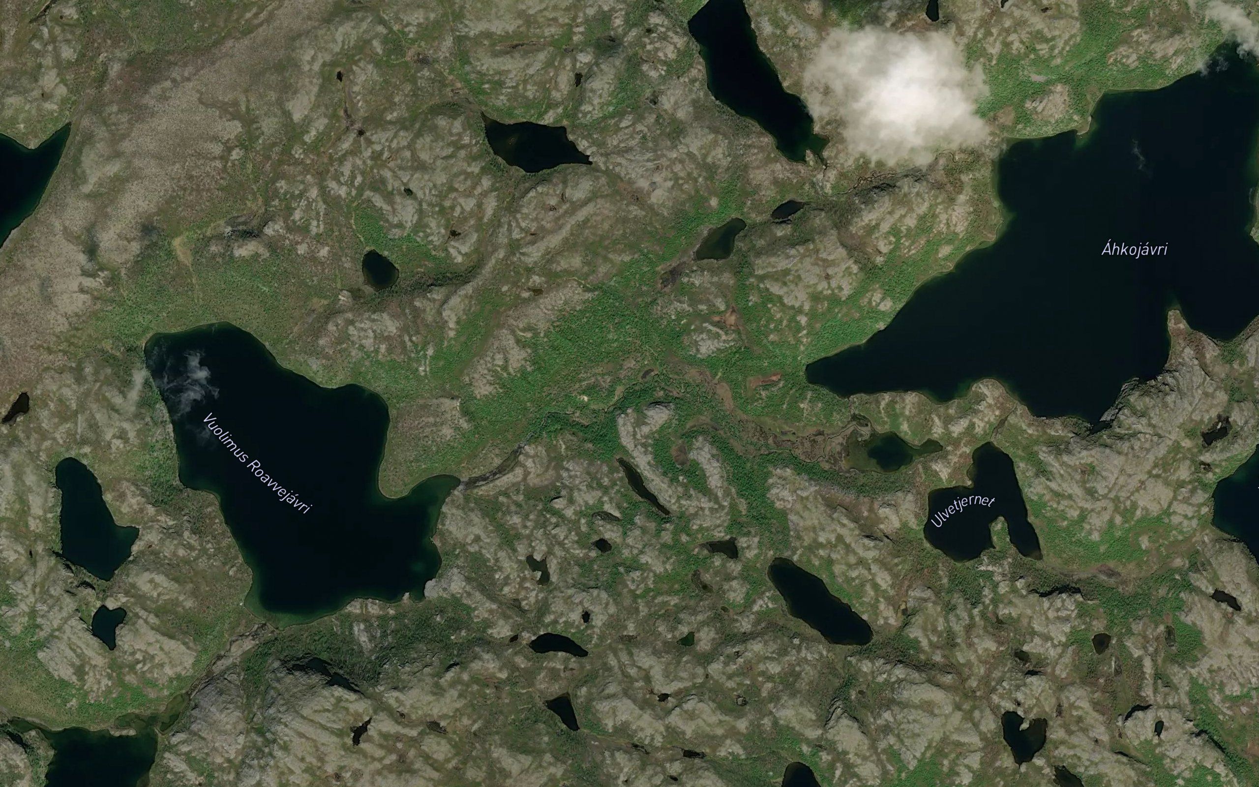 Roavvejakka