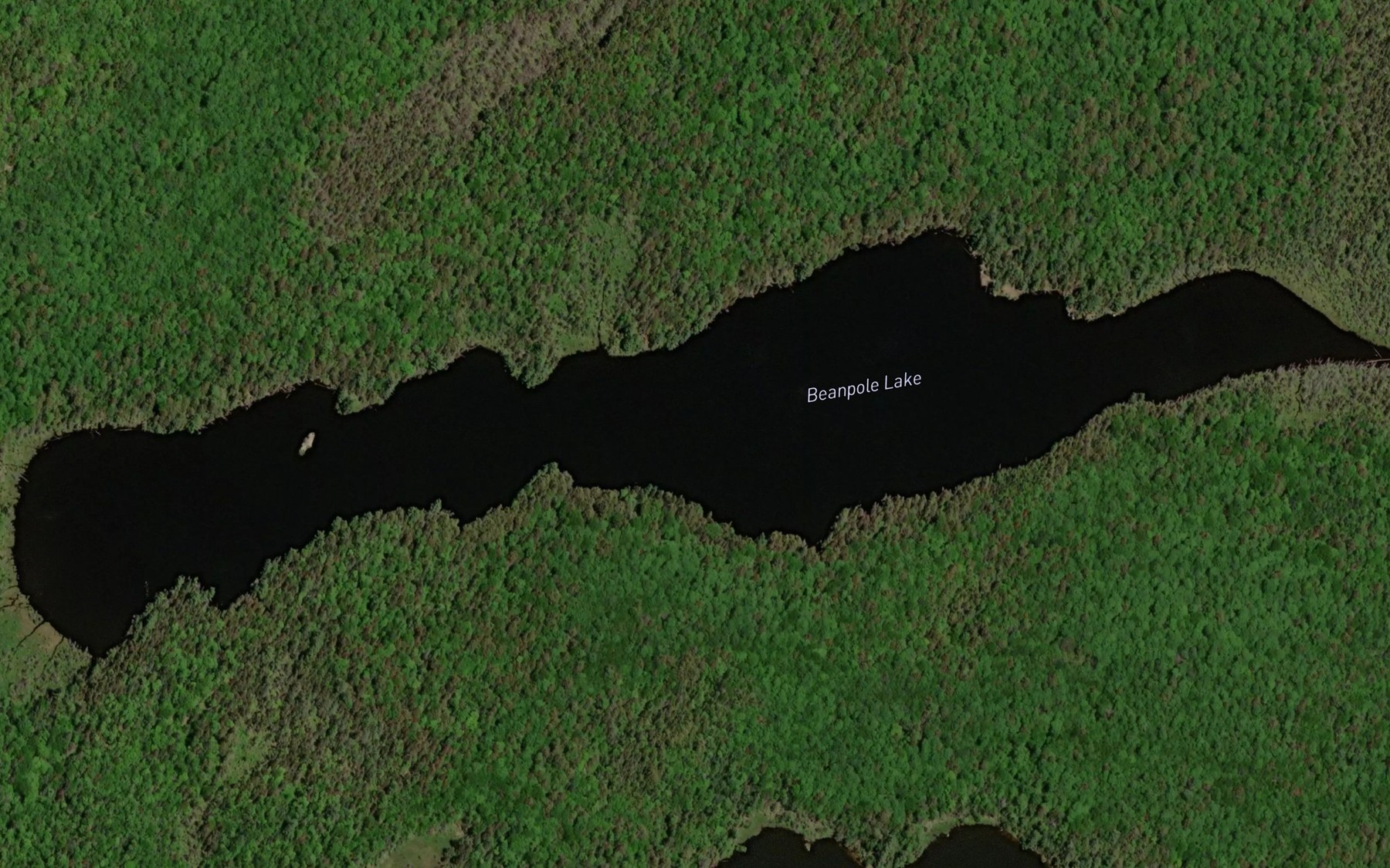 Satellite map of the Beanpole Lake