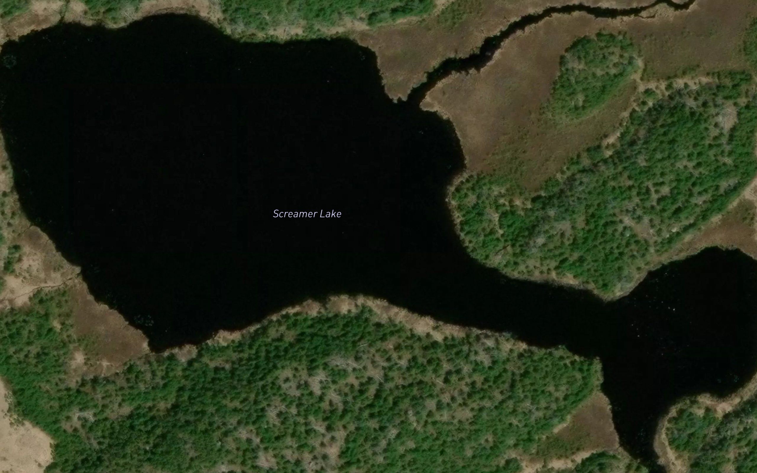 Screamer Lake