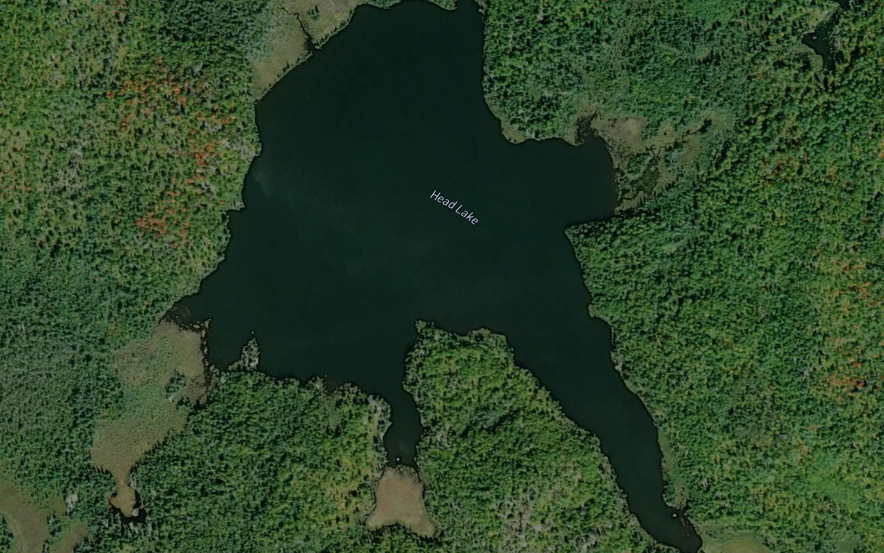 Satellite map of the Head Lake