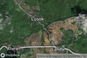 Landy Creek