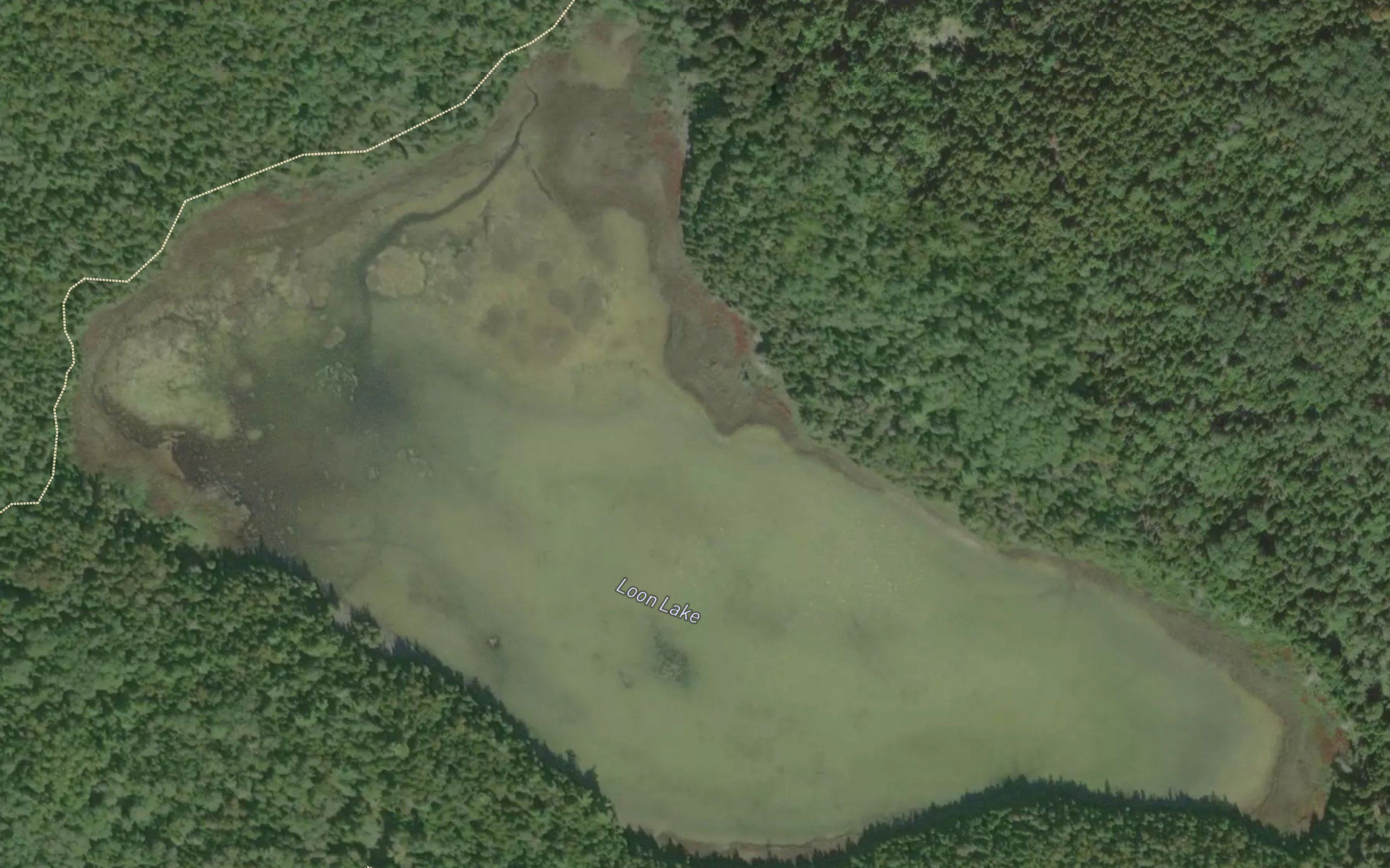 Loon Lake