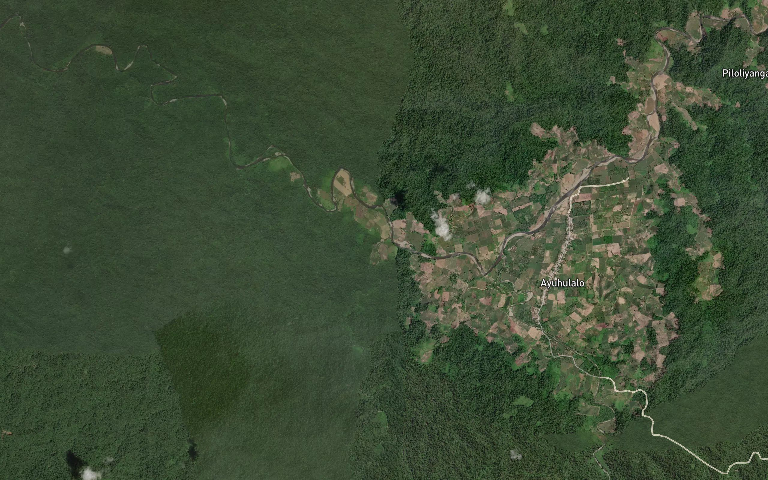 Dutula Mebongo