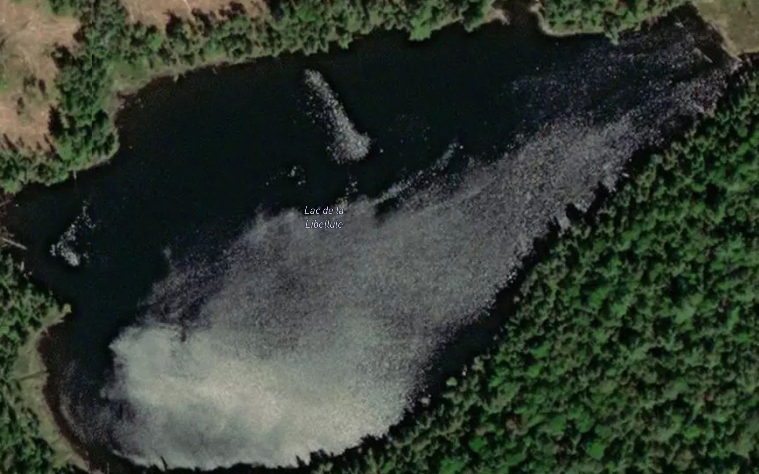 Lac de la Libellule