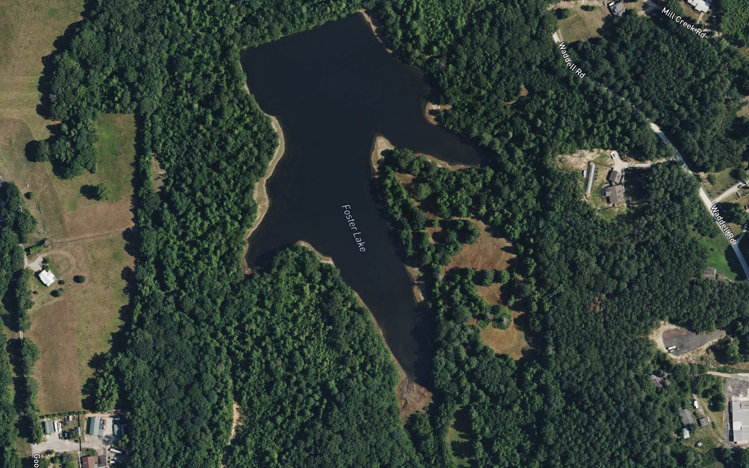 Foster Lake