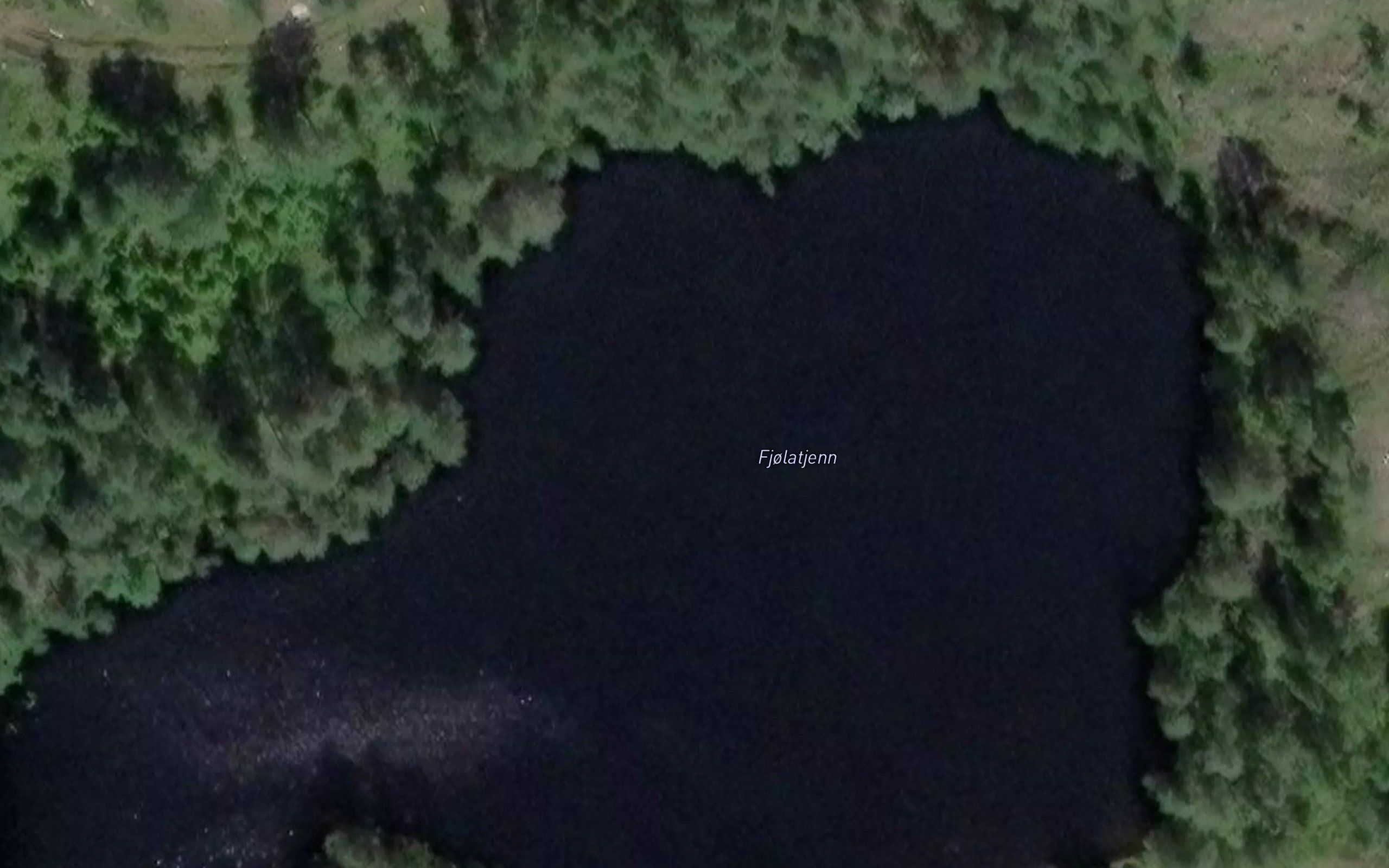 Fjolatjern
